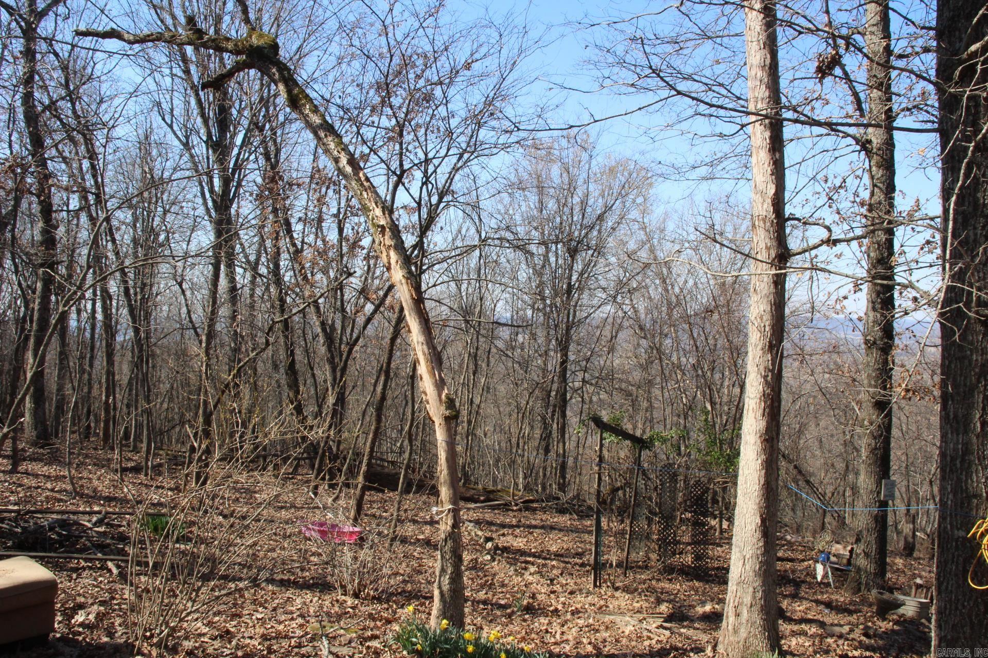332  Longway  Yellville, AR