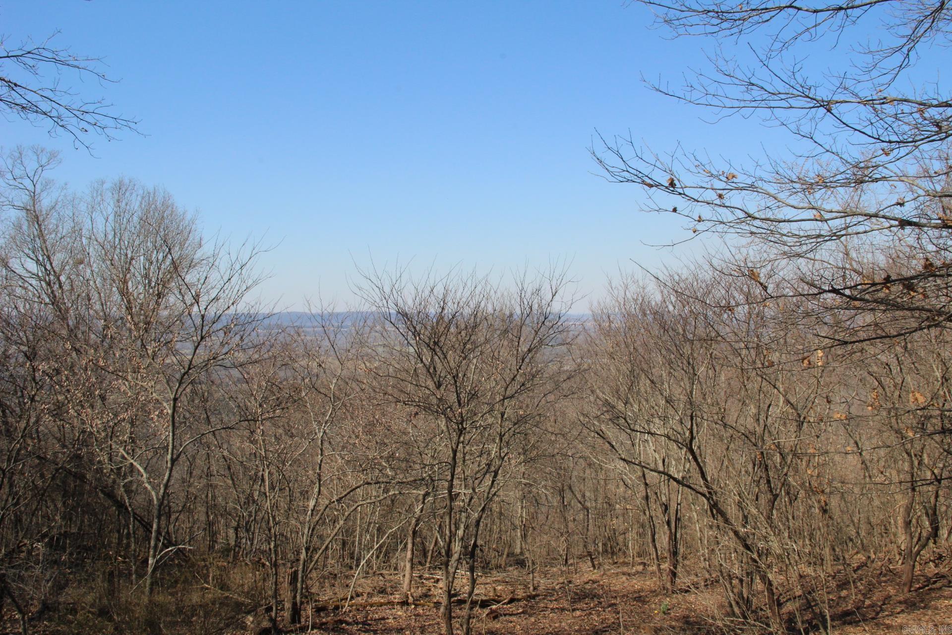 332  Longway  Yellville, AR