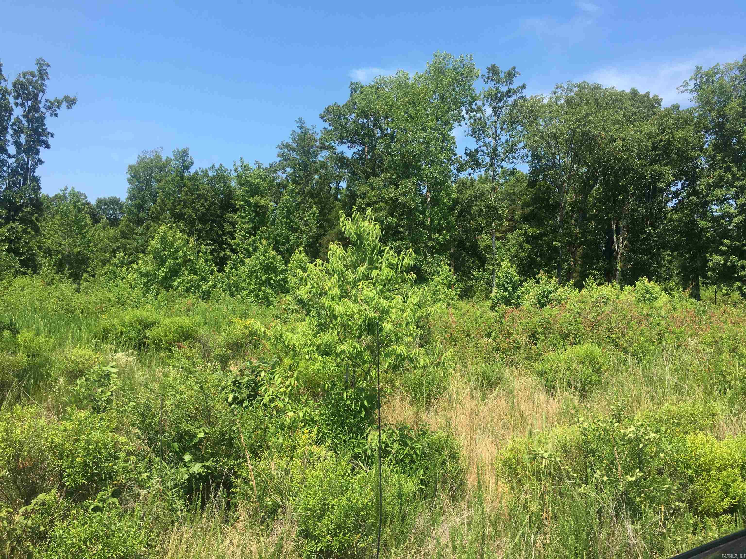 LOT 4 DONHAM Drive Edgemont, AR 72044