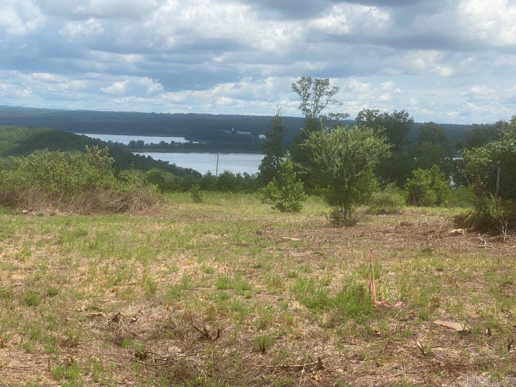 LOT 6 DONHAM Drive Edgemont, AR 72044