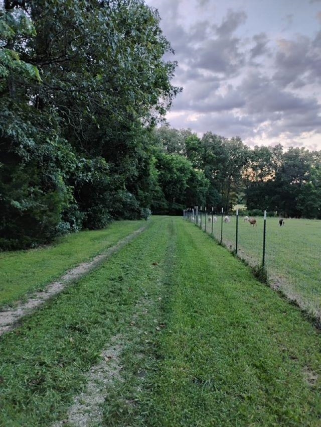 661 Cricket Pass Rd  Camp, AR