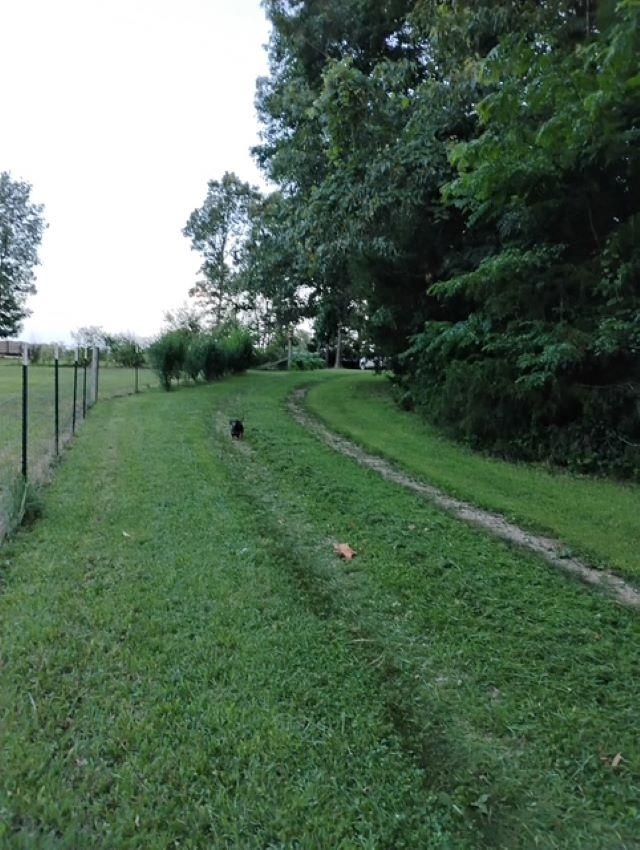 661 Cricket Pass Rd  Camp, AR