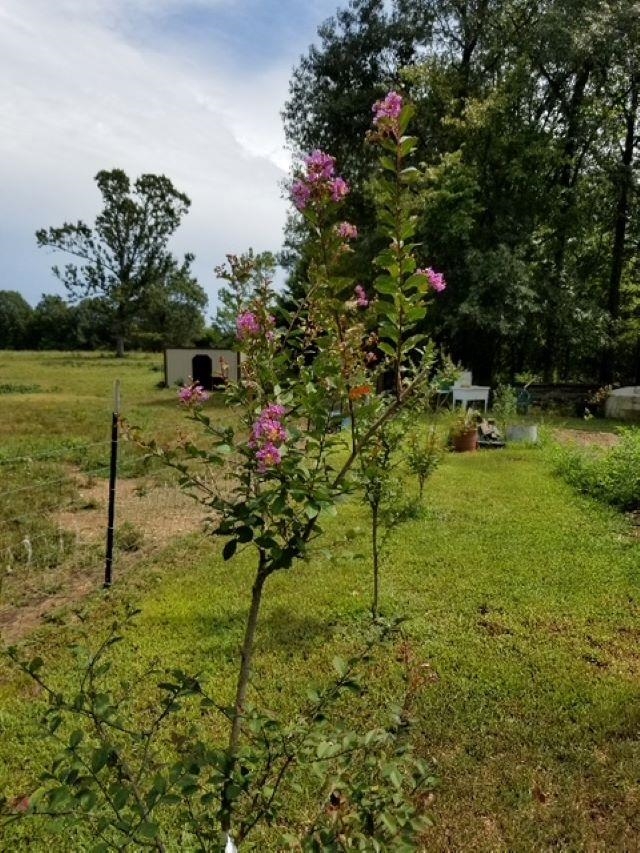 661  Cricket Pass Rd  Camp, AR