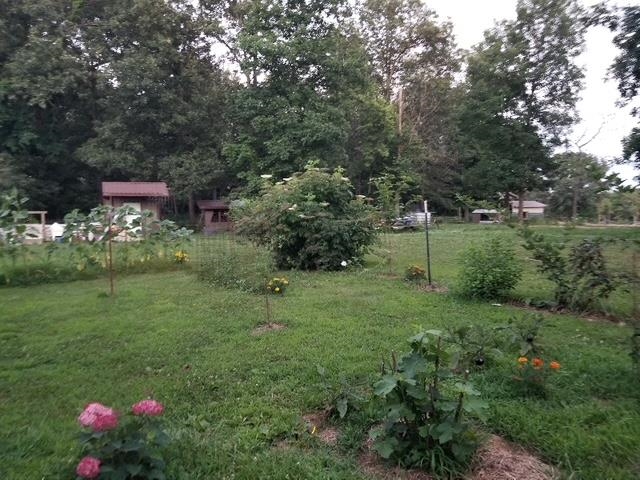 661  Cricket Pass Rd  Camp, AR