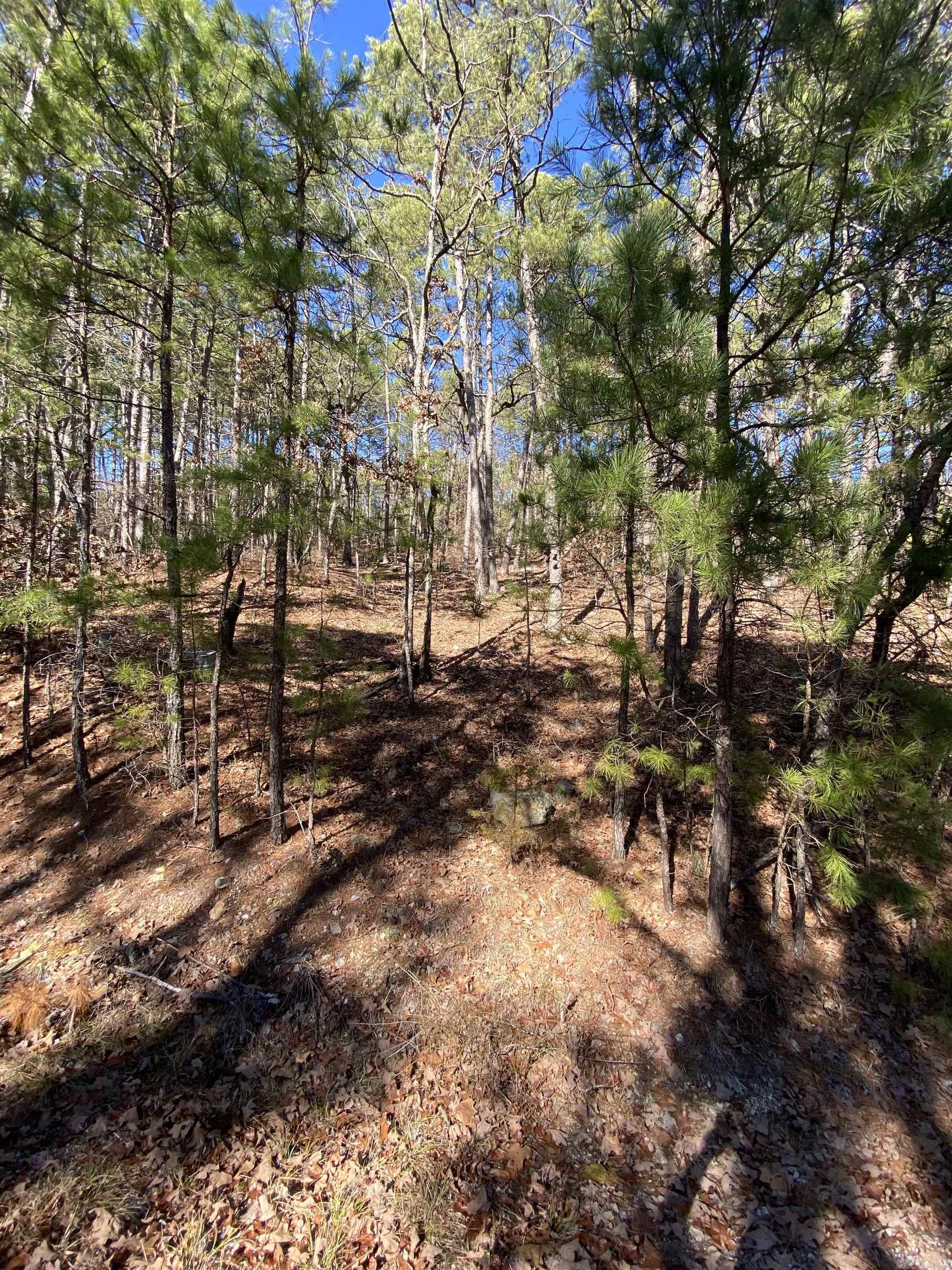 38  Surtidor  Hot Springs Village, AR
