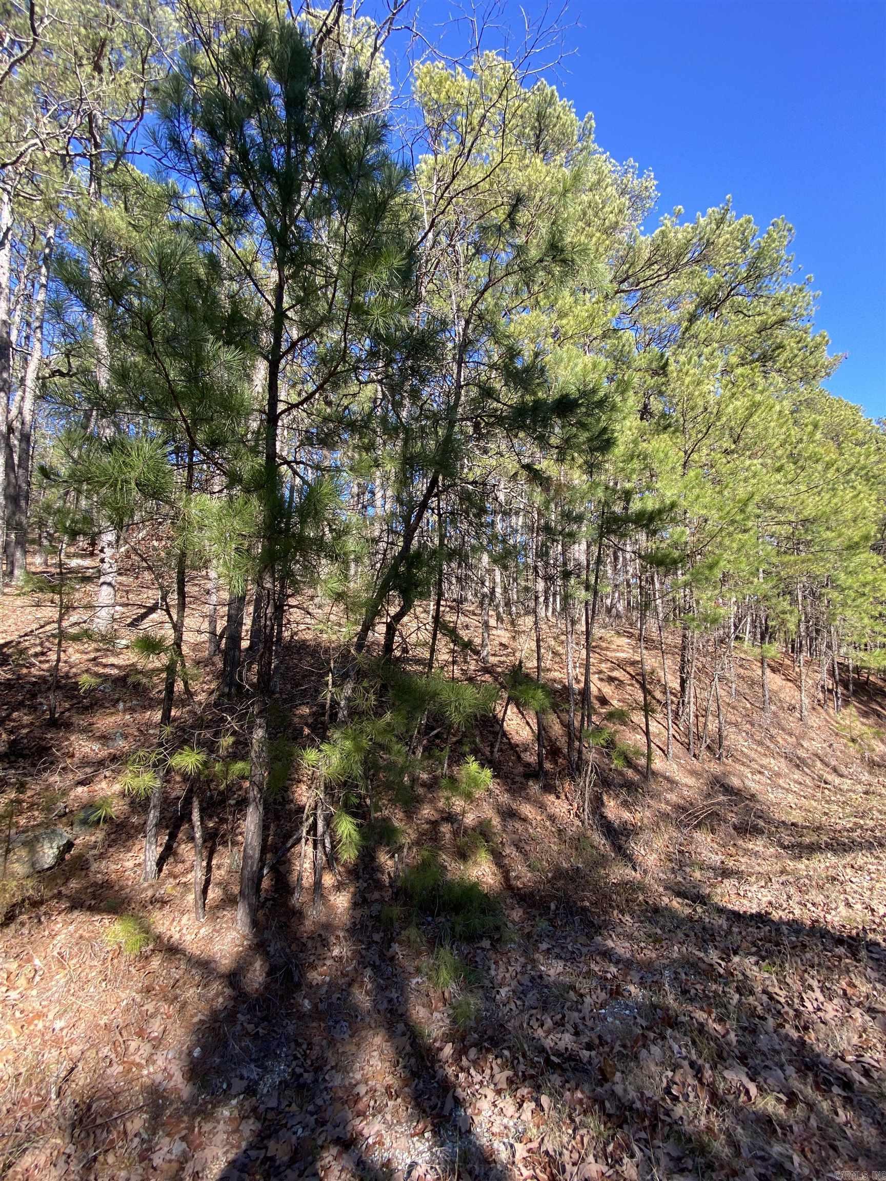 38  Surtidor  Hot Springs Village, AR