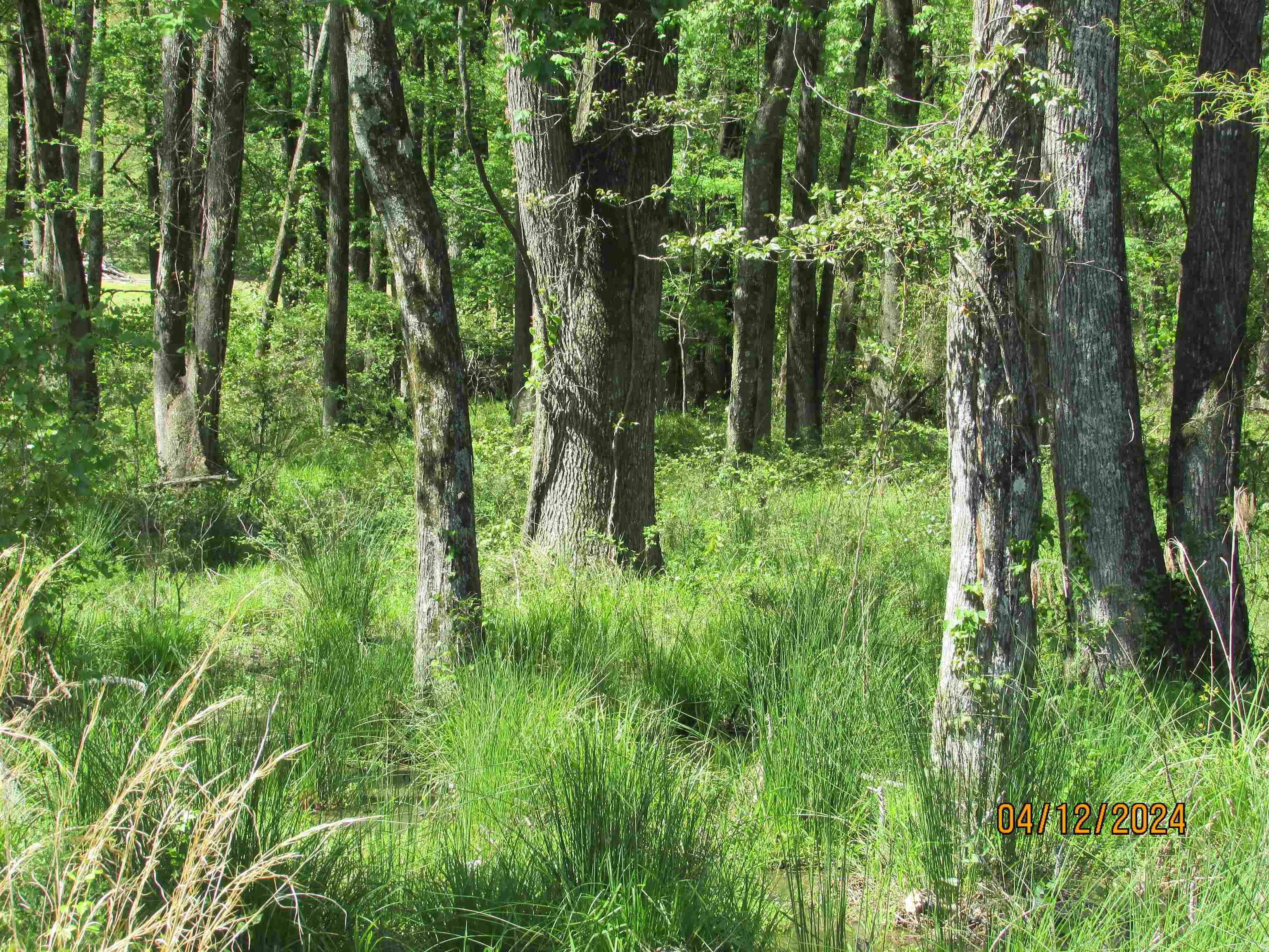 0  Campground Rd  Cabot, AR