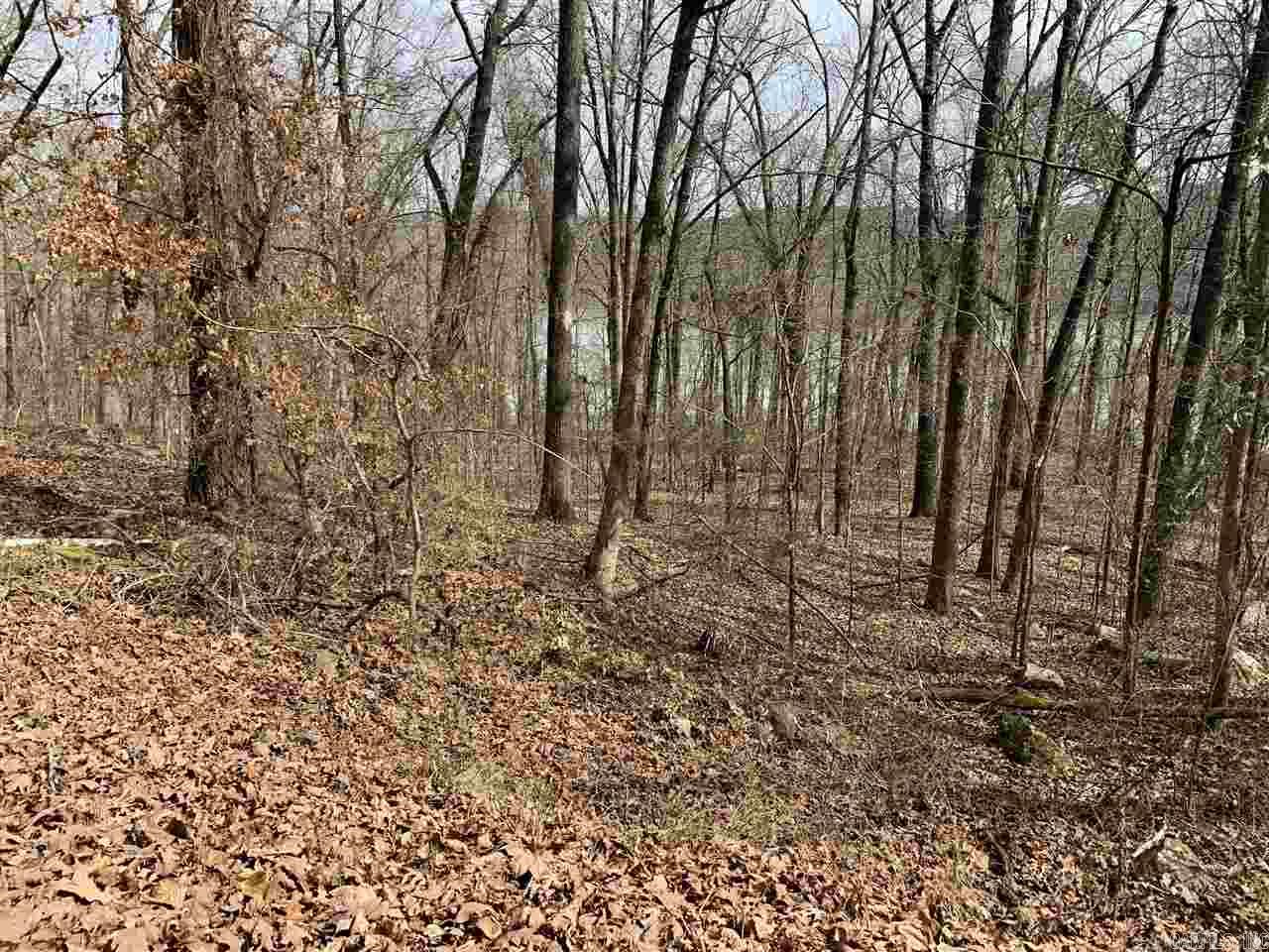 Lot 61 Lower Ridge Circle Edgemont, AR 72044