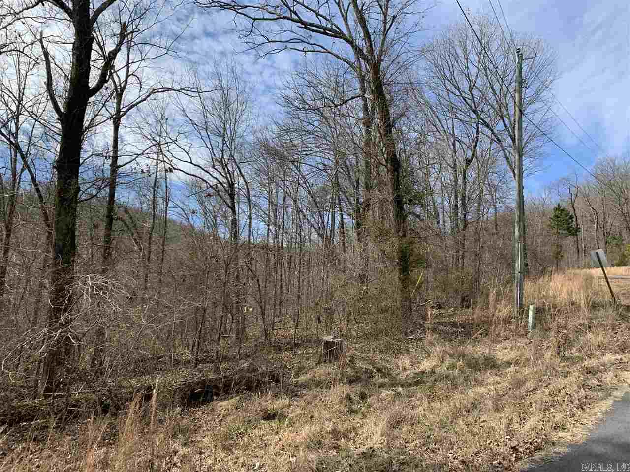 Lot 36 Lower Ridge Circle Edgemont, AR 72044