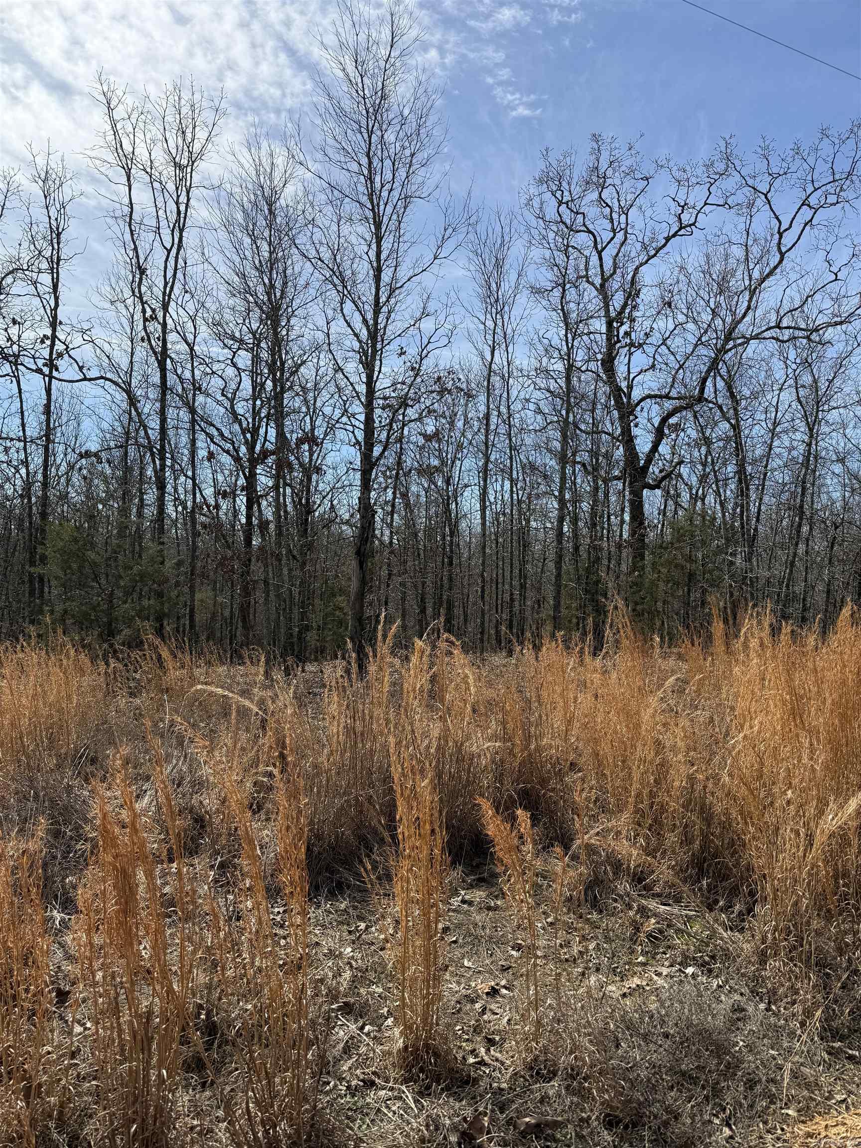 43  Megan Lot 10 Conway, AR