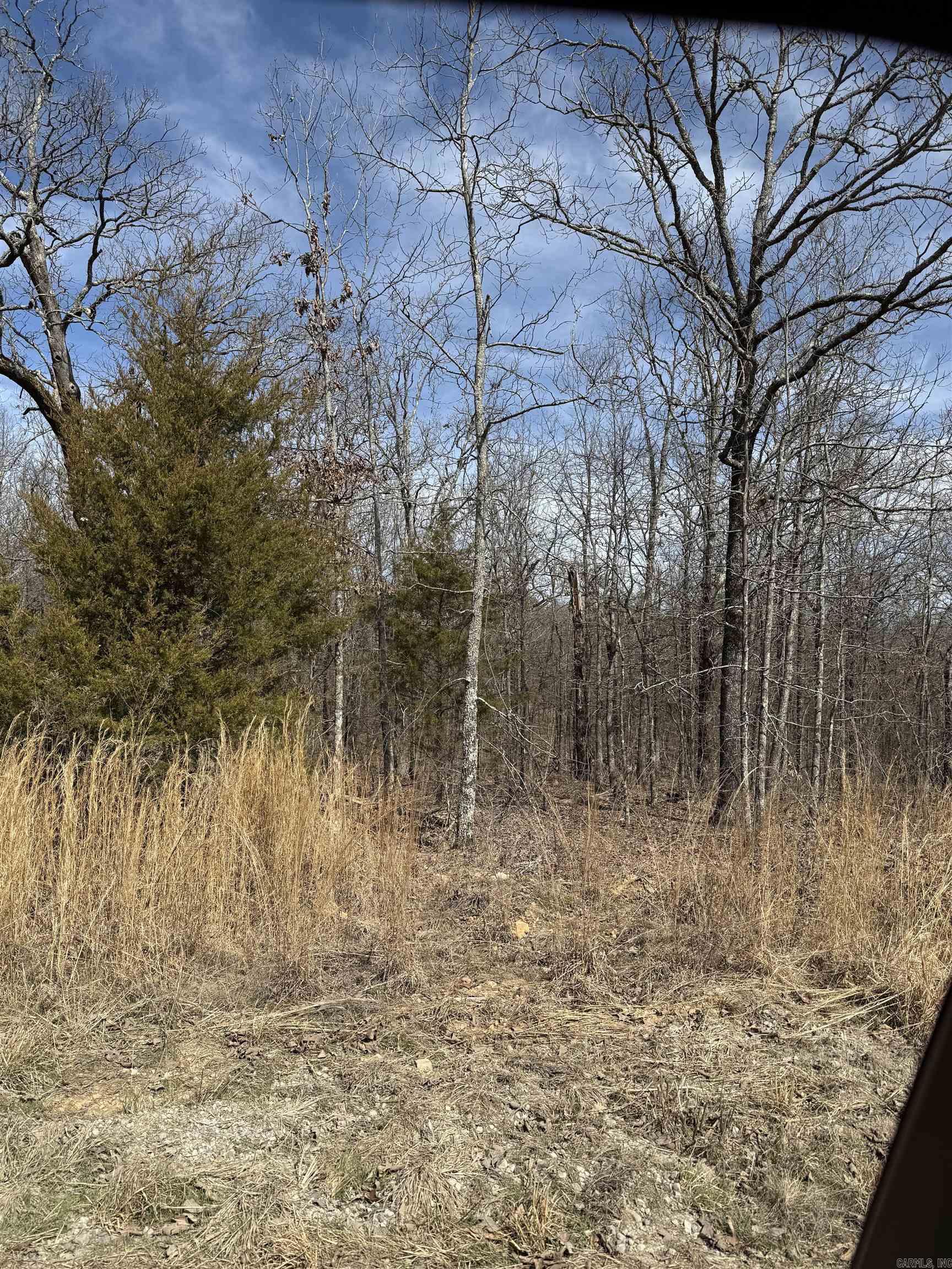 43  Megan Lot 10 Conway, AR