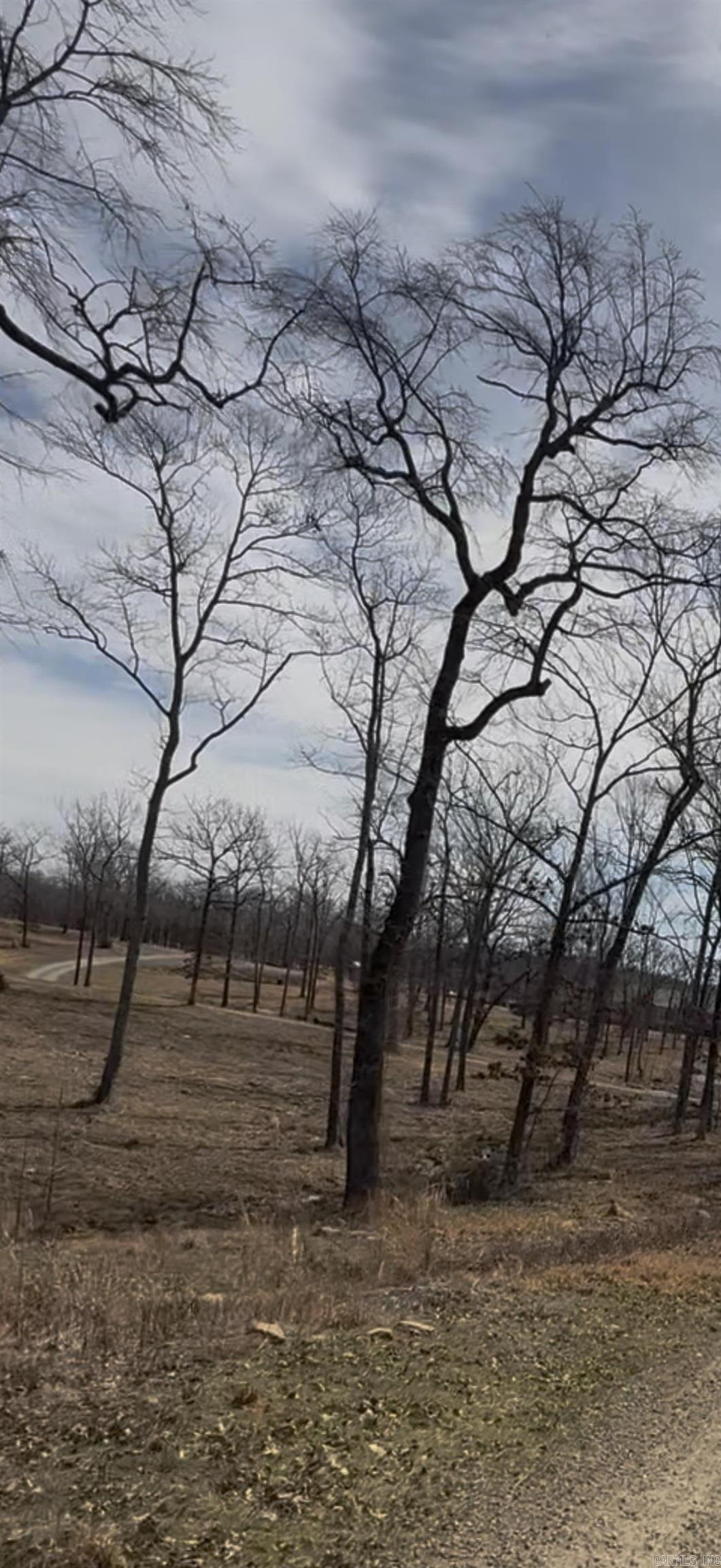 43  Megan Lot 10 Conway, AR