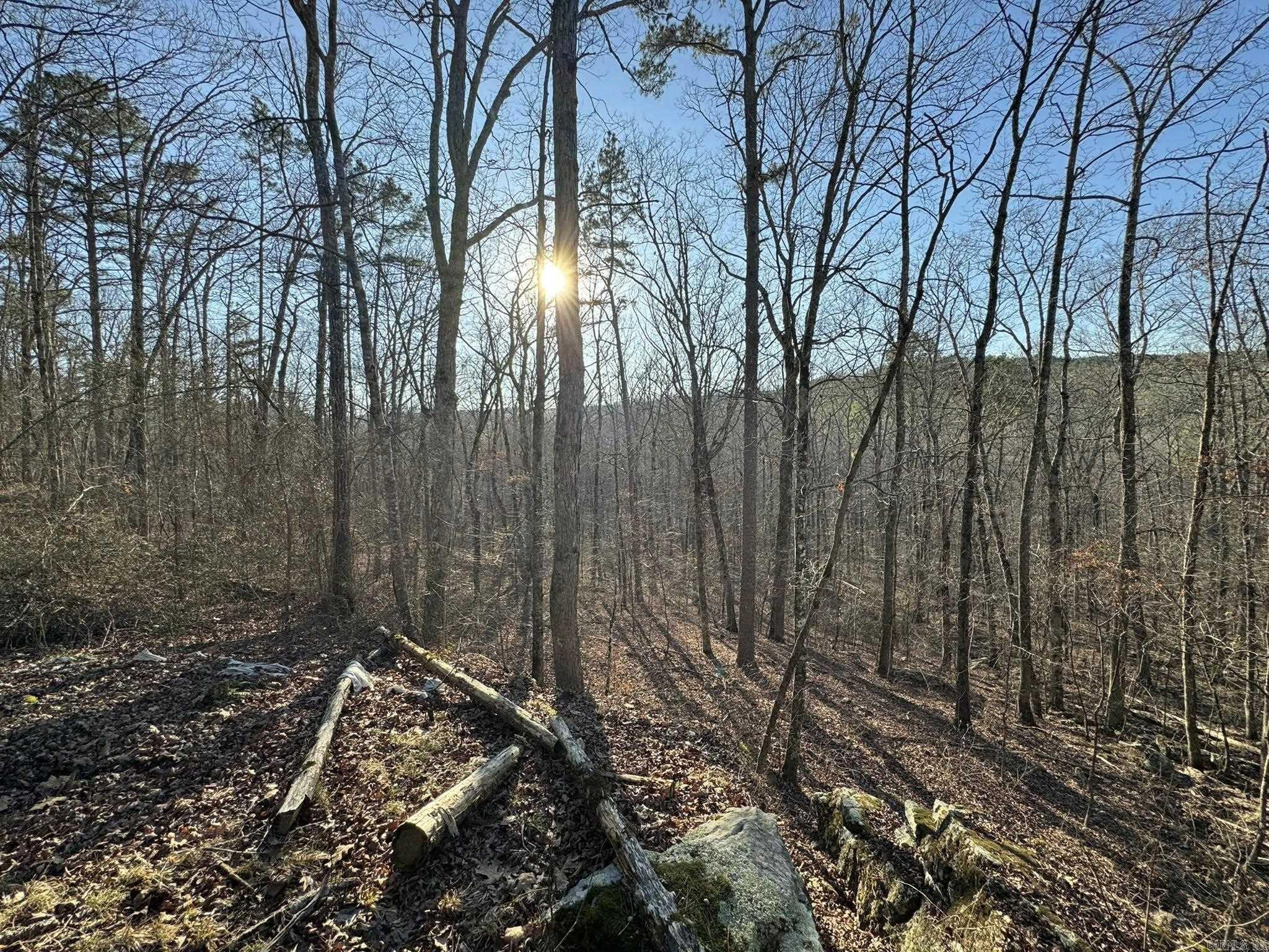2101 Keilhorn Ridge Road Road Mountain View, AR 72560