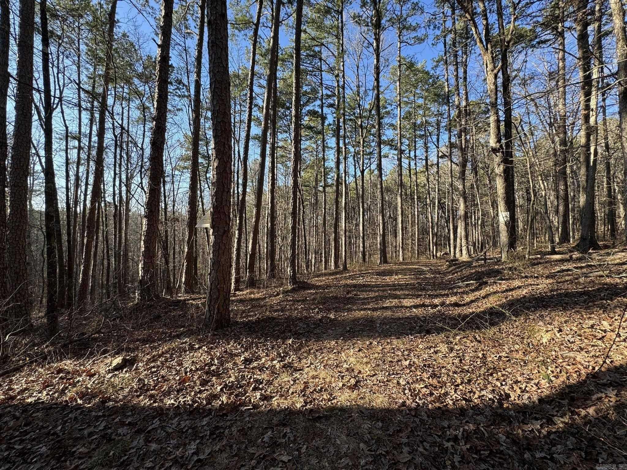 2101 Keilhorn Ridge Road Road Mountain View, AR 72560
