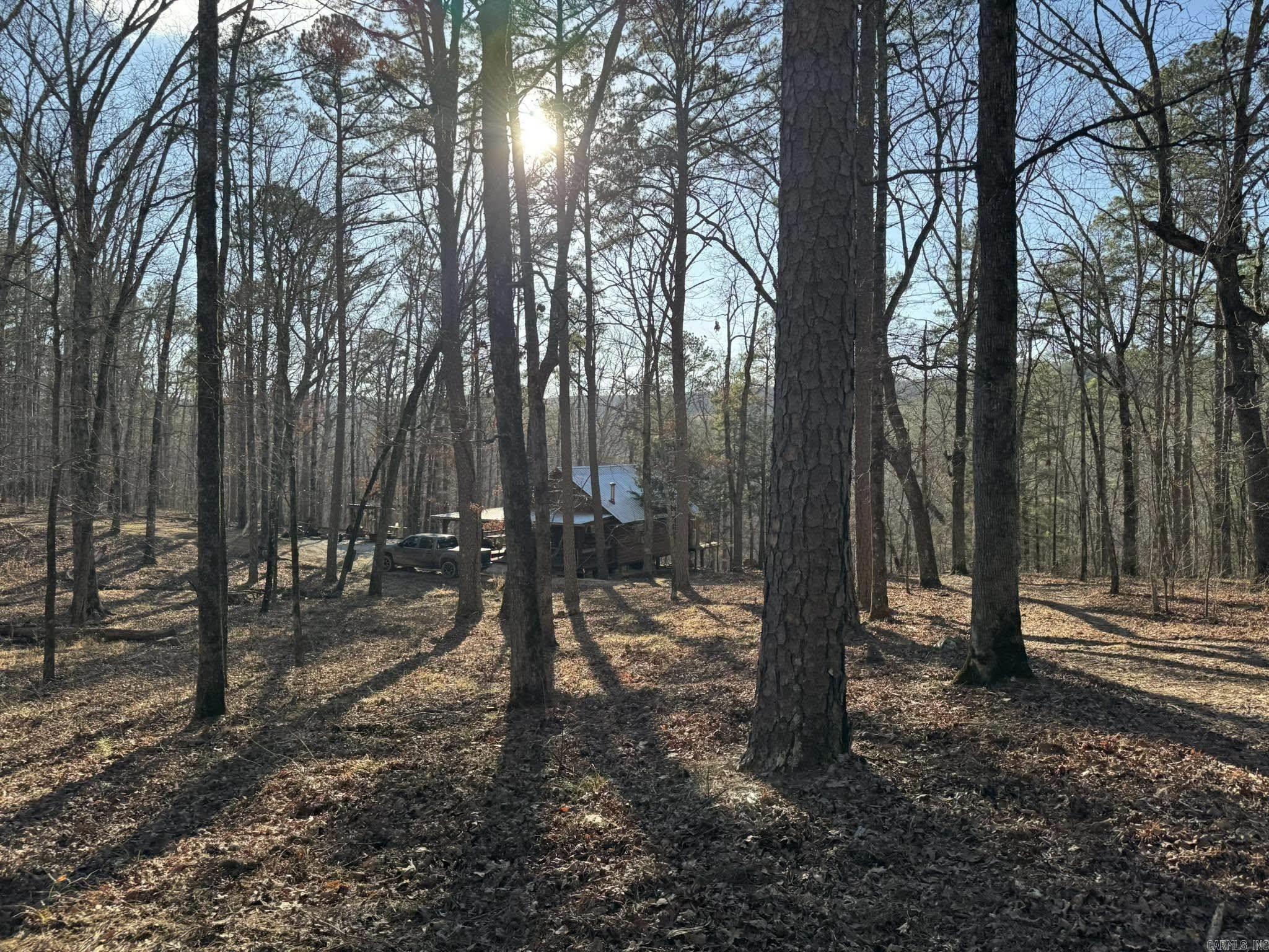 2101 Keilhorn Ridge Road Road Mountain View, AR 72560