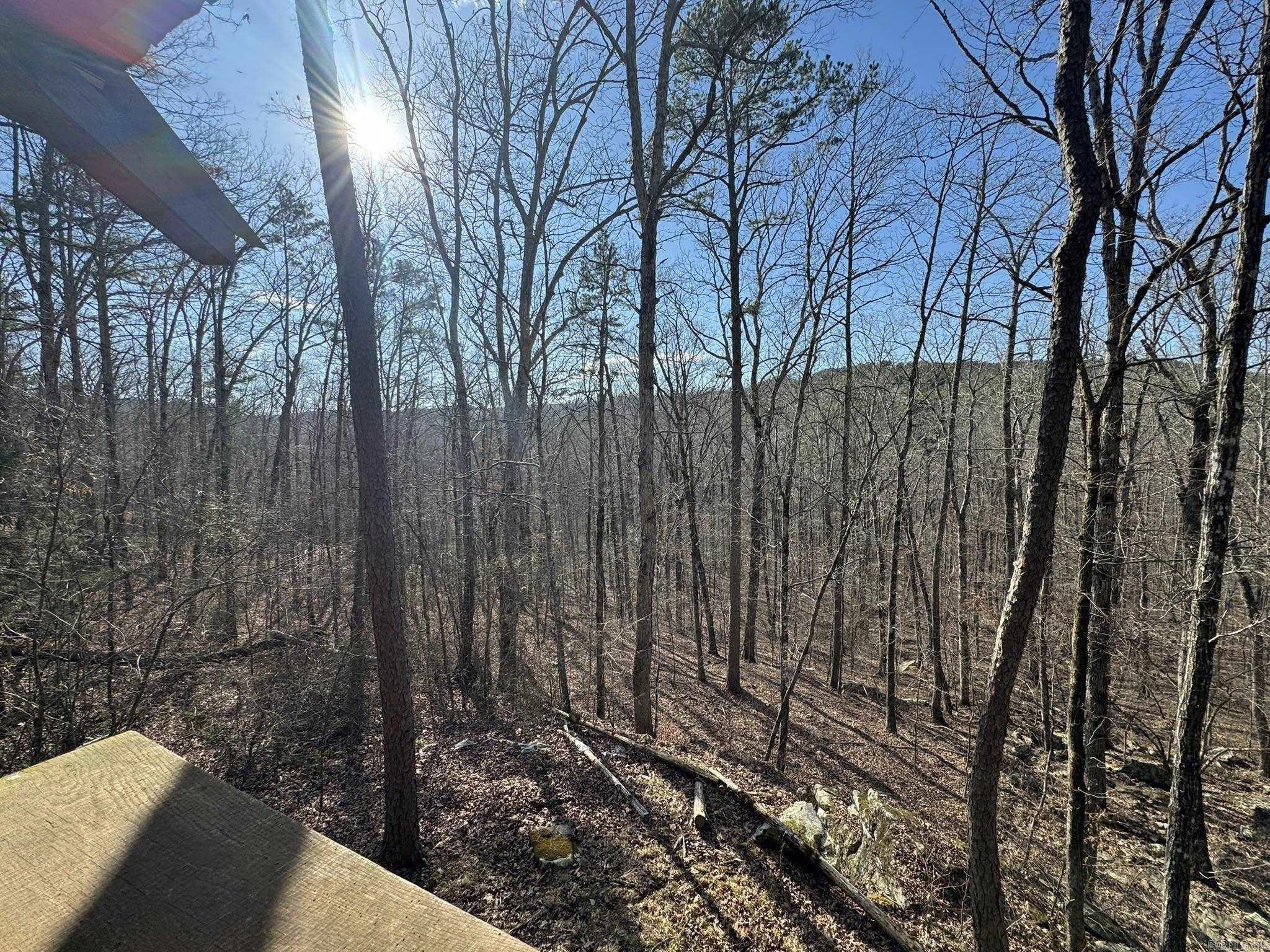 2101 Keilhorn Ridge Road Road Mountain View, AR 72560