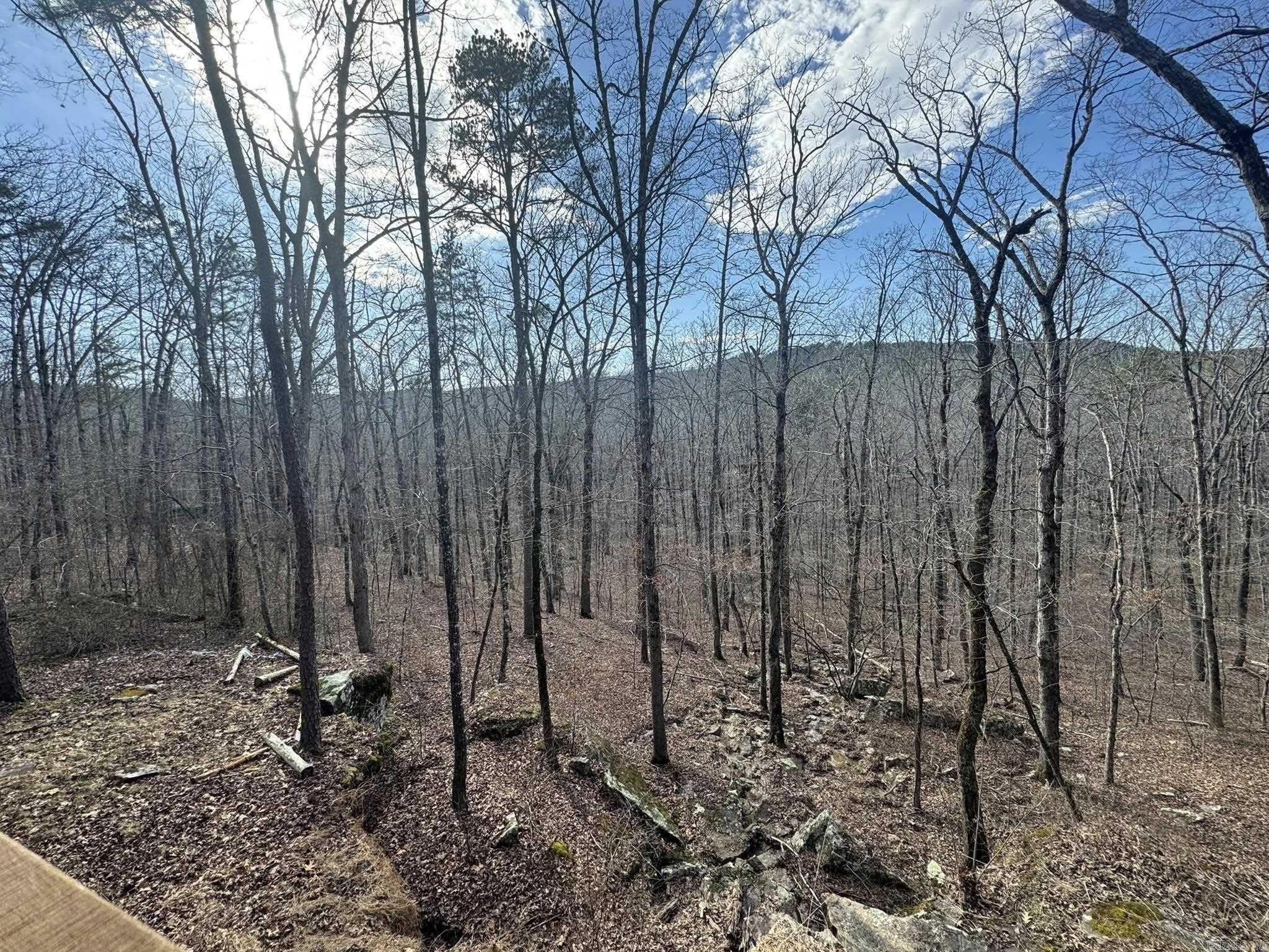 2101 Keilhorn Ridge Road Road Mountain View, AR 72560