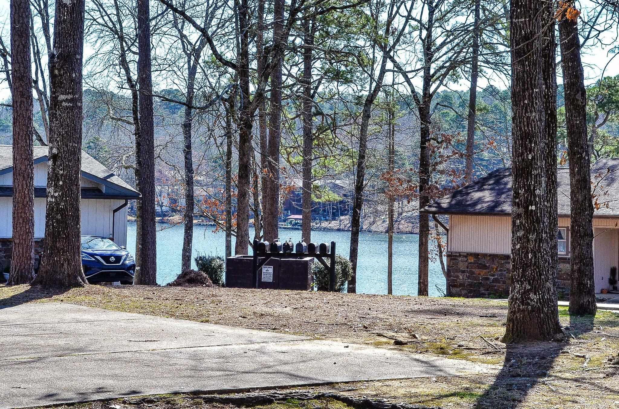 46  Lequita Place  Hot Springs Village, AR