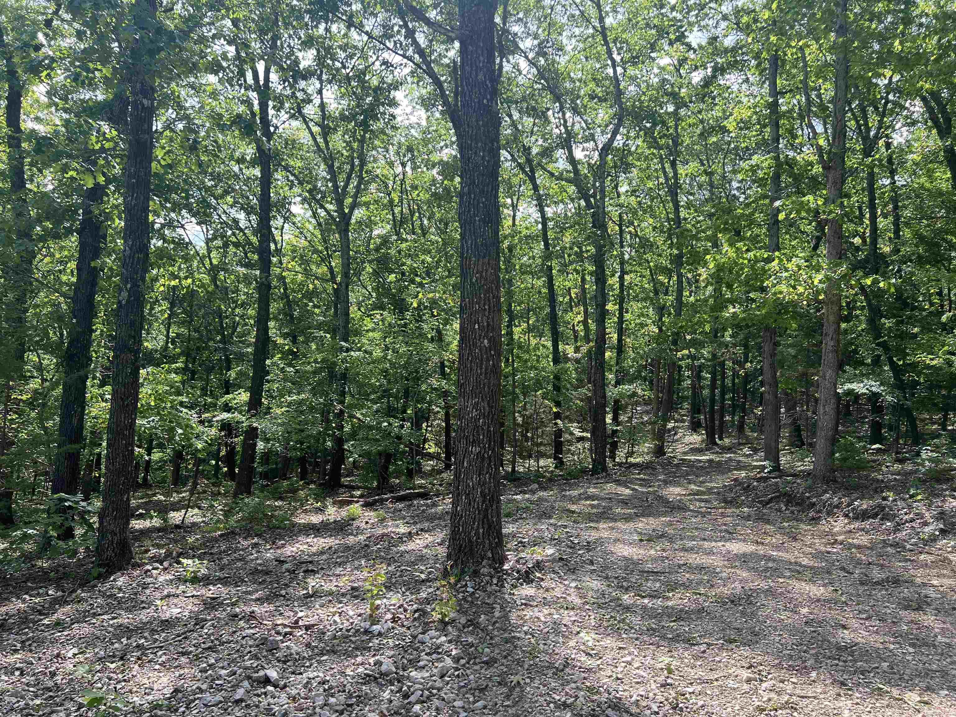   CR 2909  Marble Falls, AR