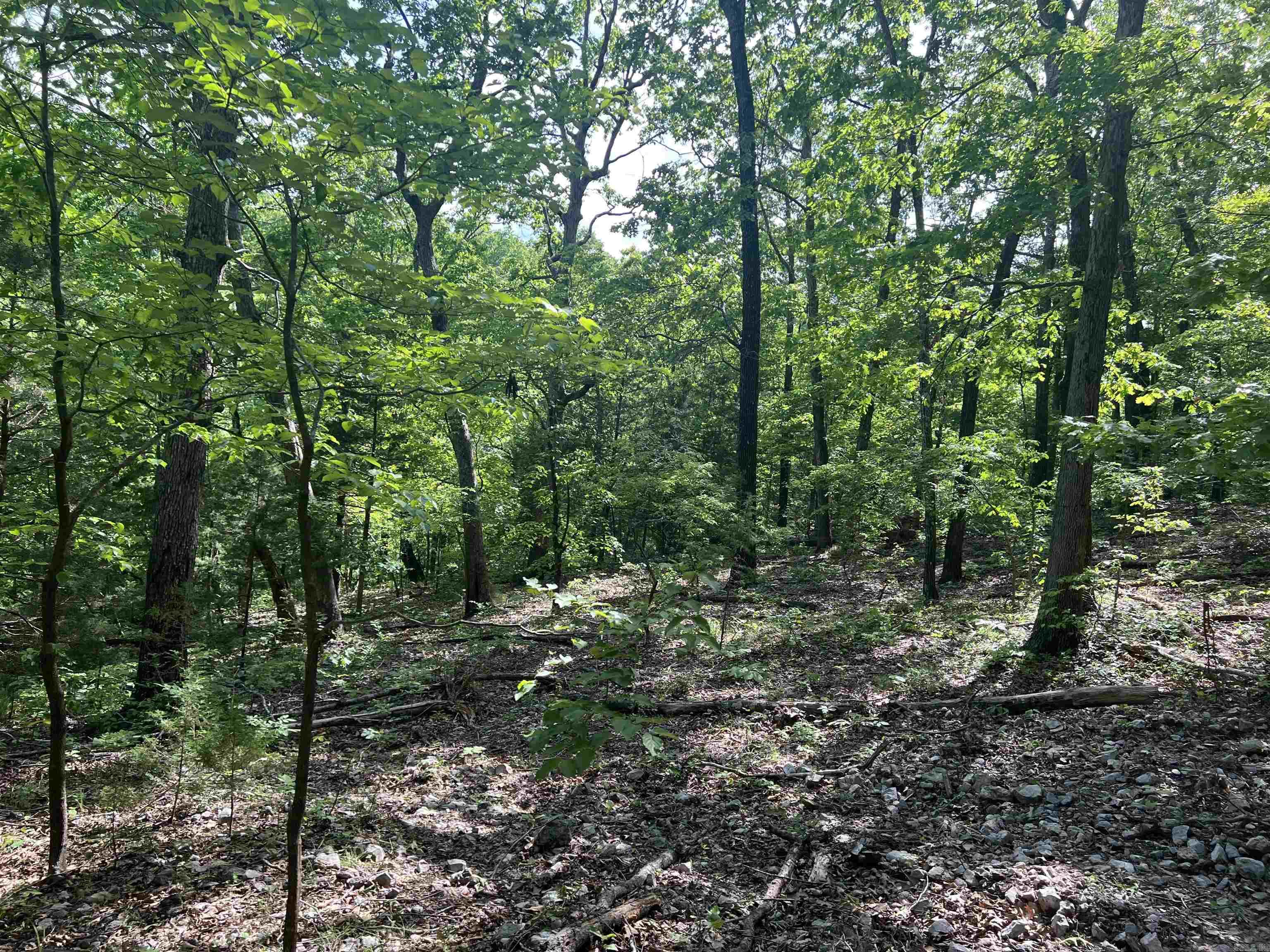   CR 2909  Marble Falls, AR