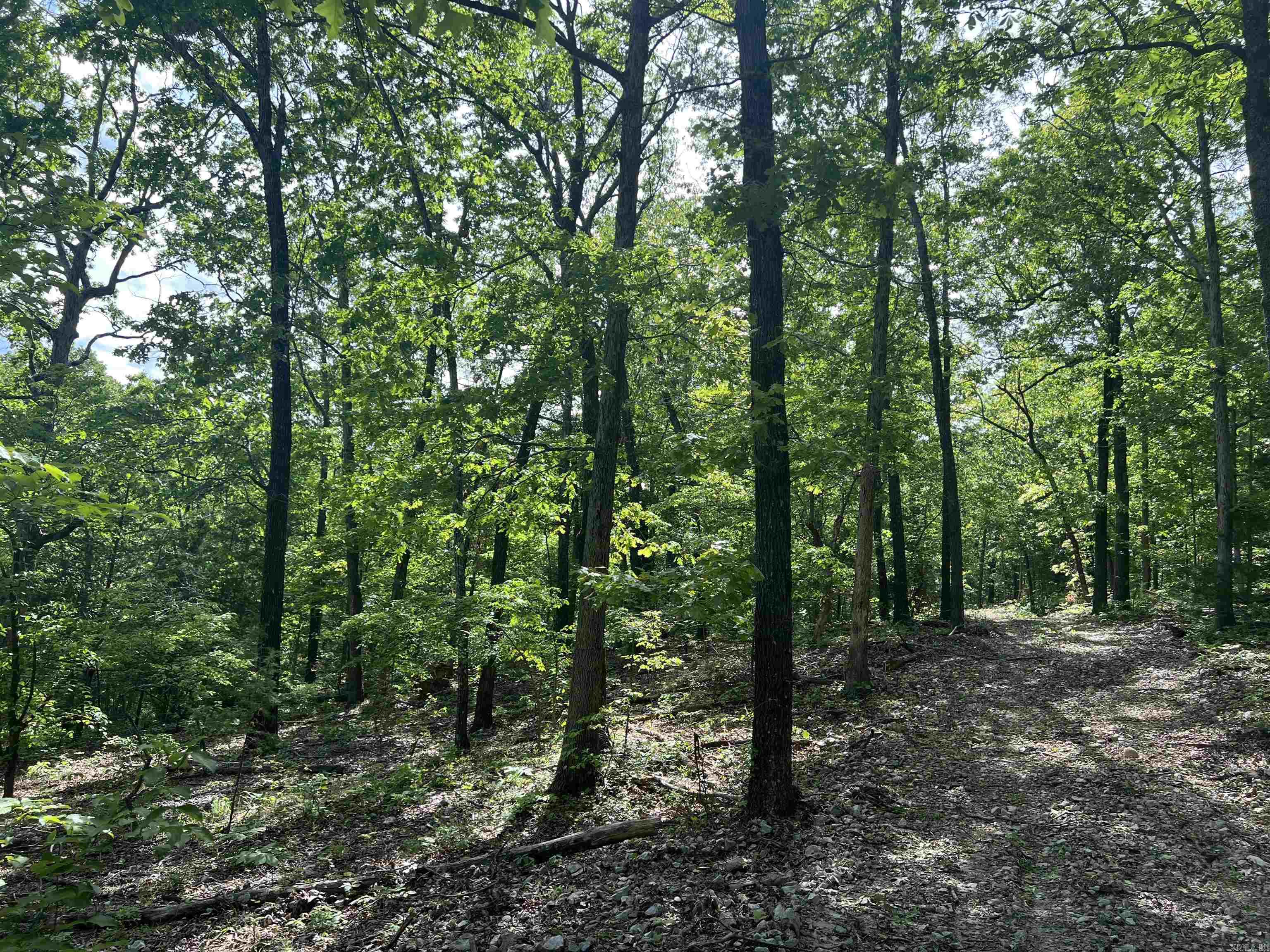   CR 2909  Marble Falls, AR