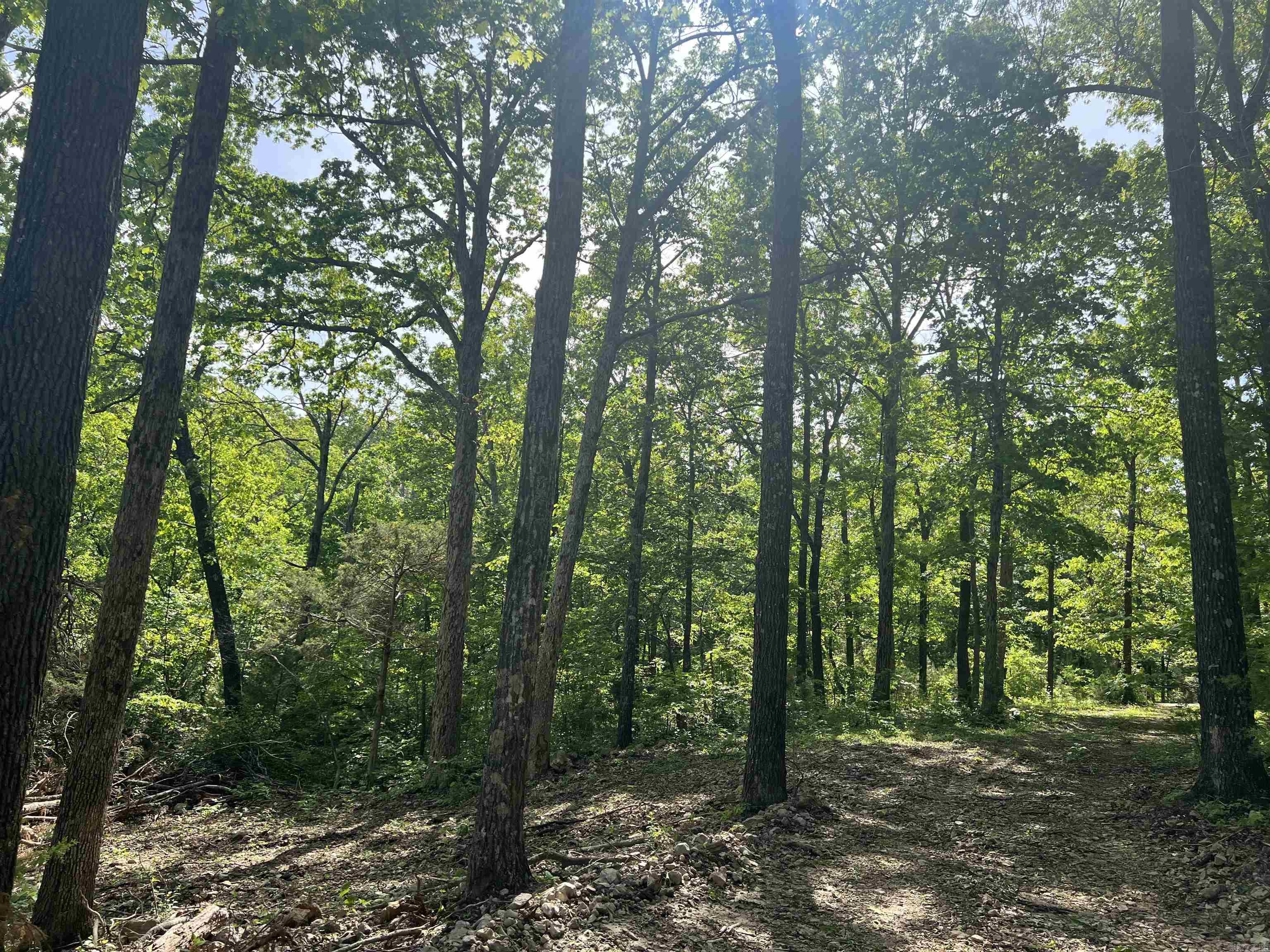   CR 2909  Marble Falls, AR