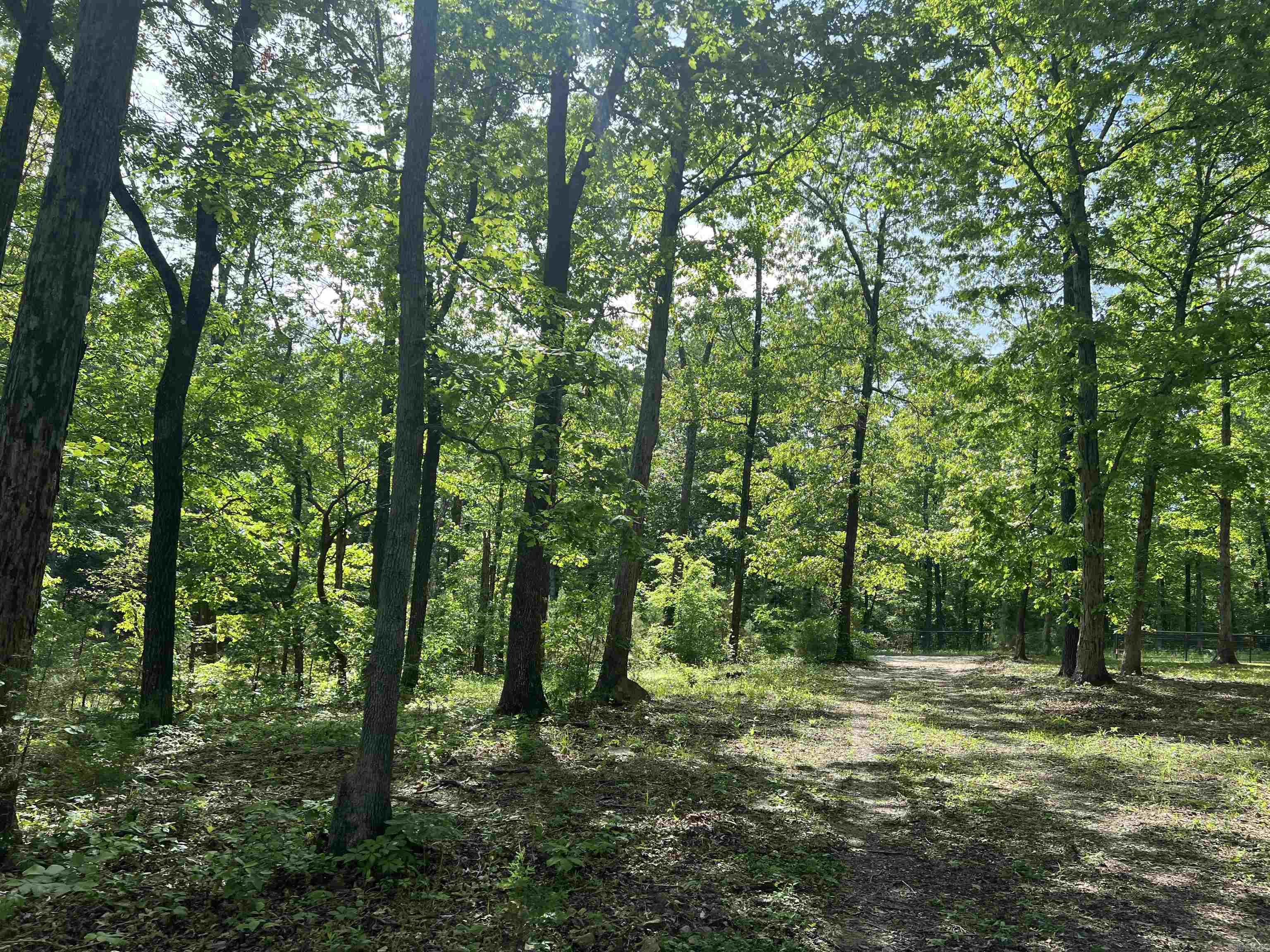   CR 2909  Marble Falls, AR