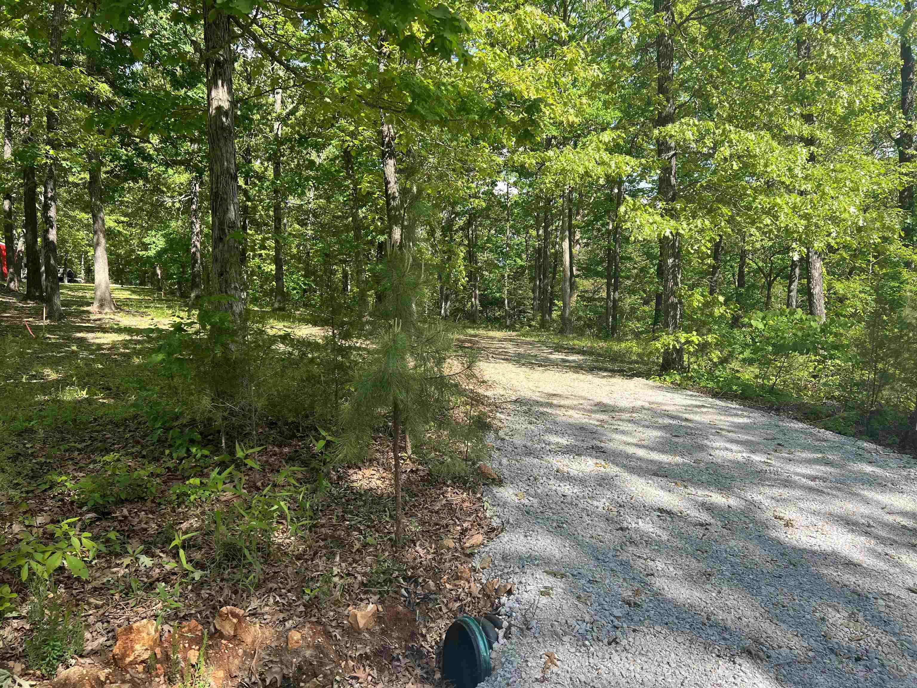   CR 2909  Marble Falls, AR