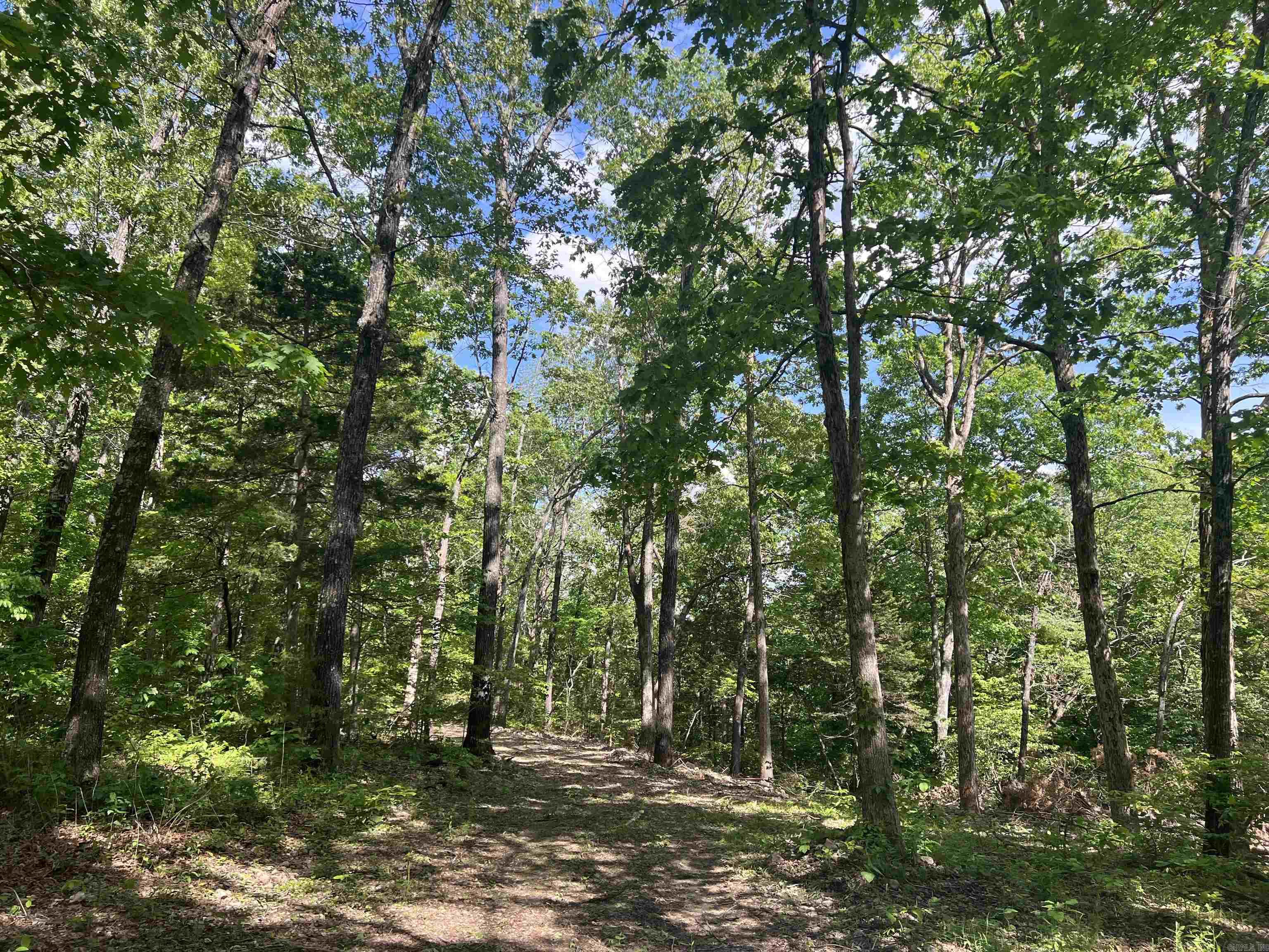   CR 2909  Marble Falls, AR