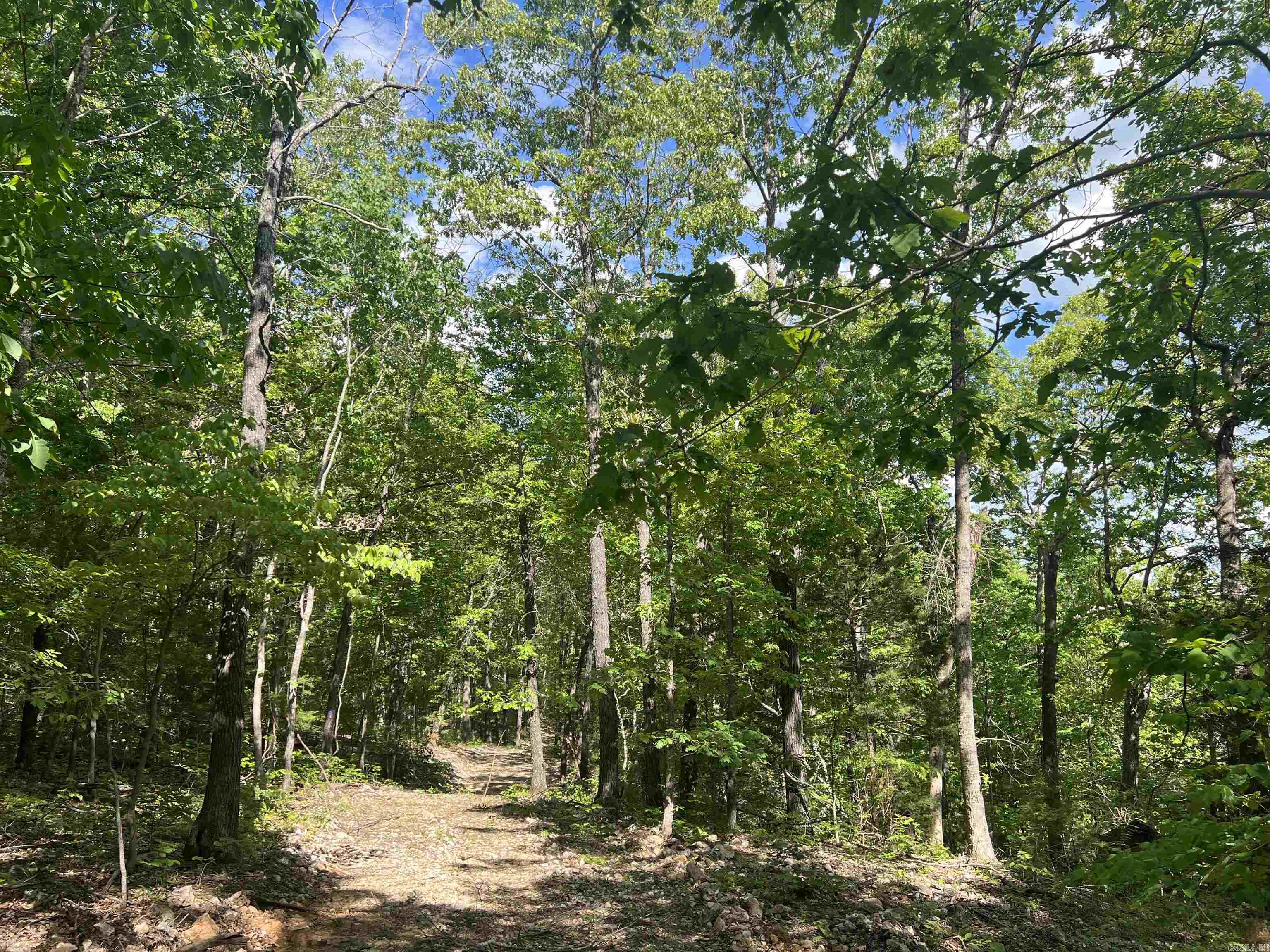   CR 2909  Marble Falls, AR