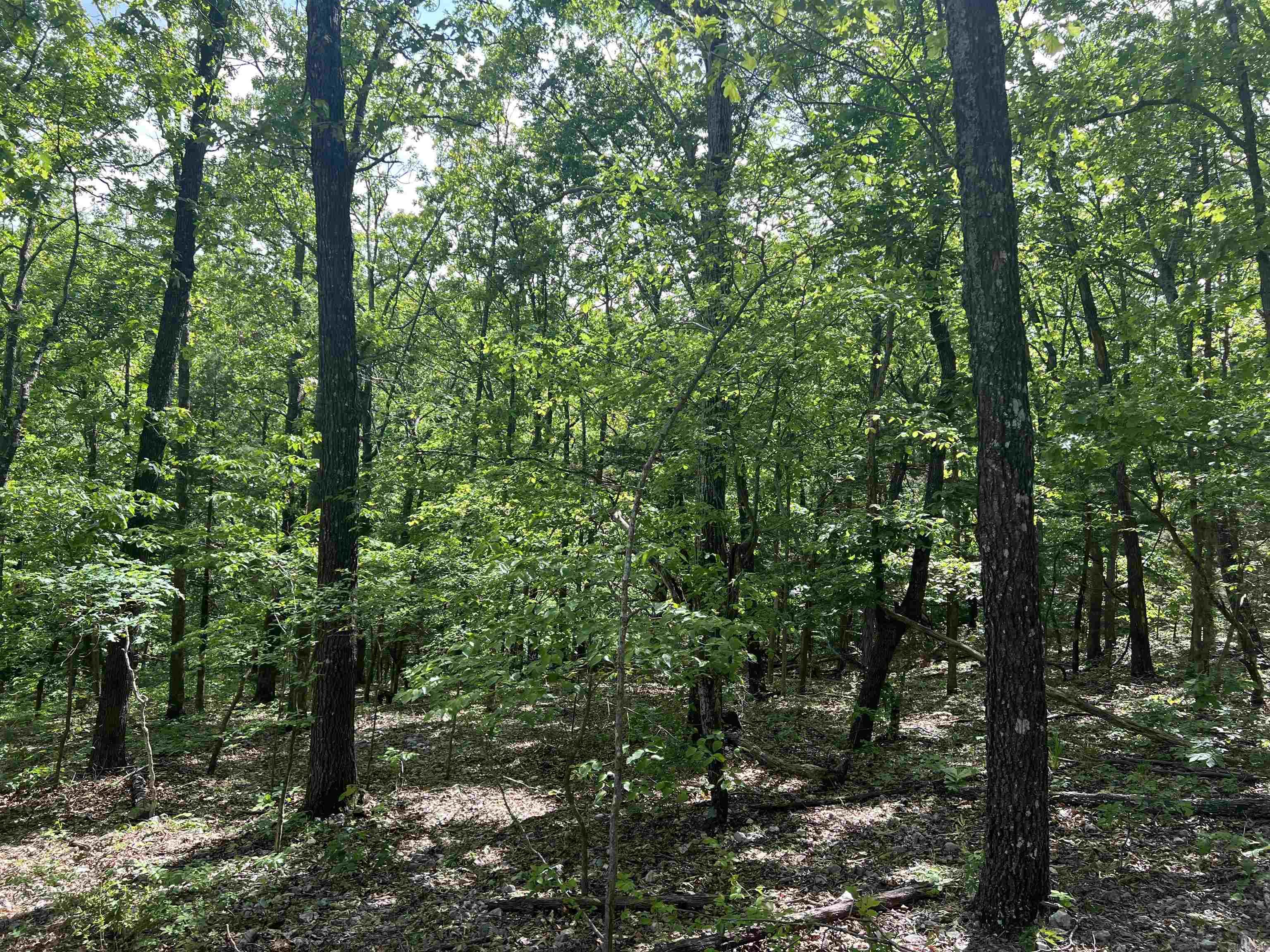   CR 2909  Marble Falls, AR