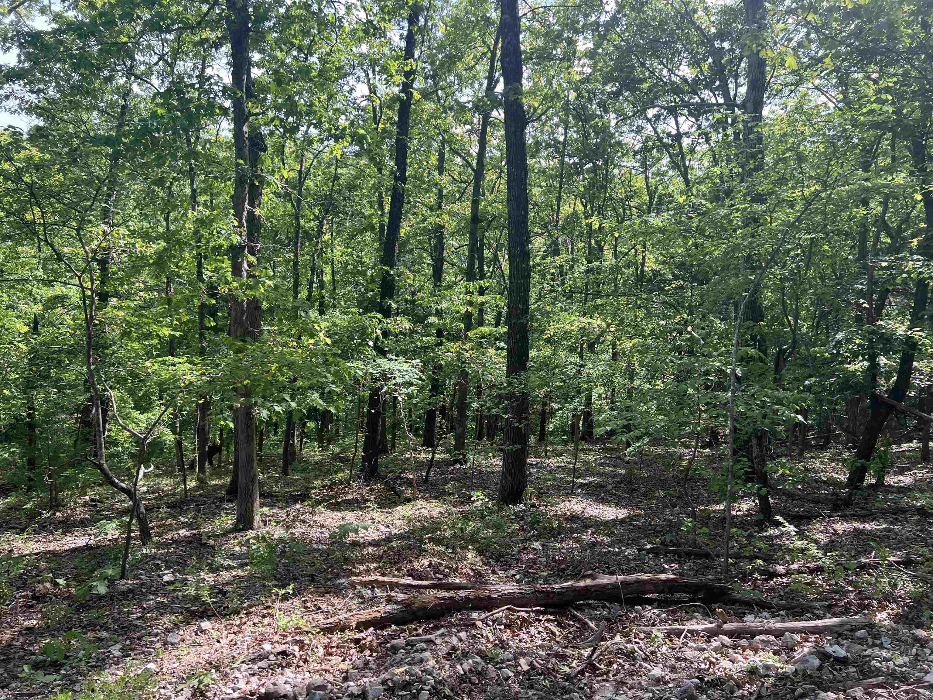   CR 2909  Marble Falls, AR