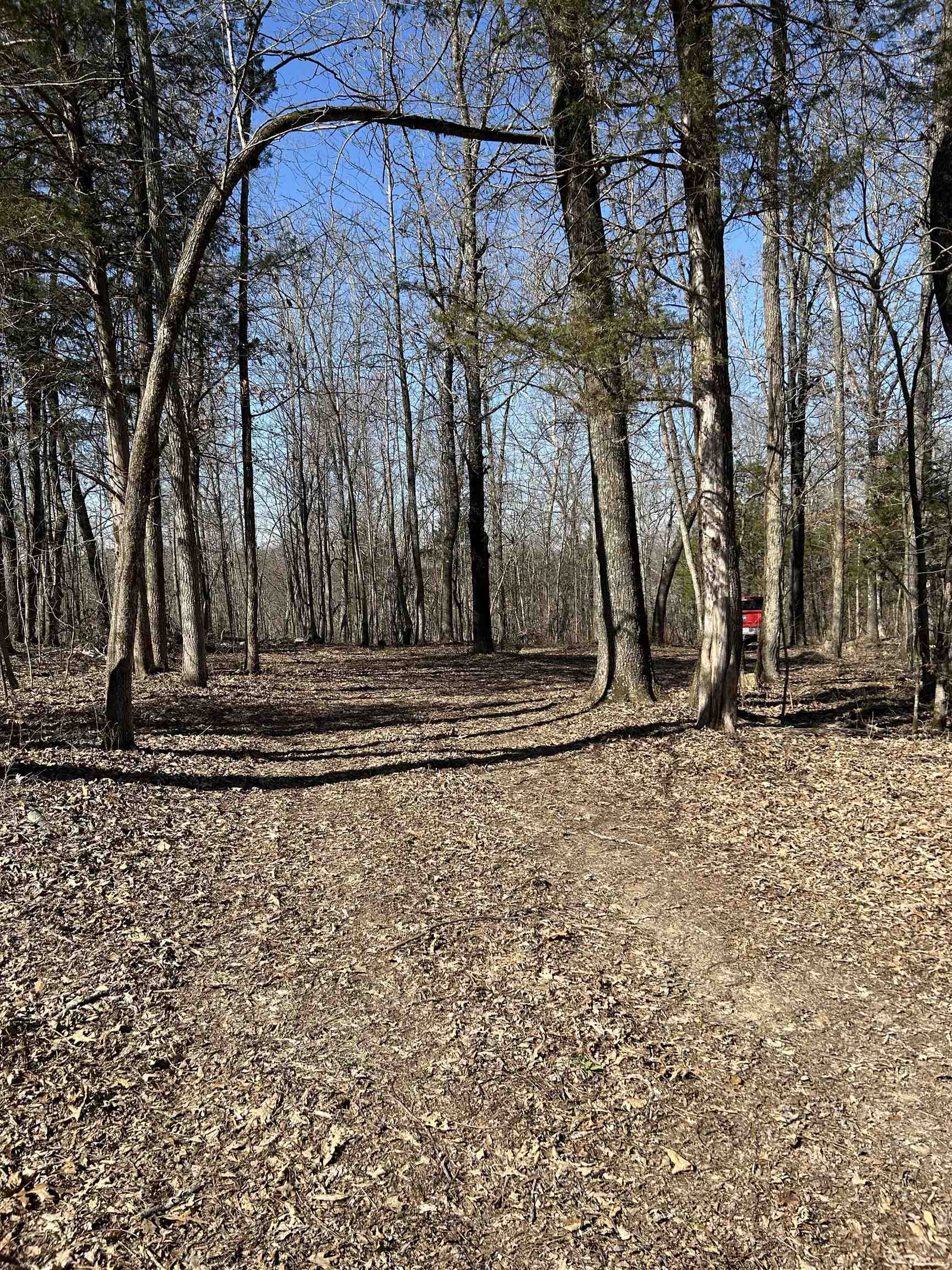 303  S Caney Springs  Melbourne, AR