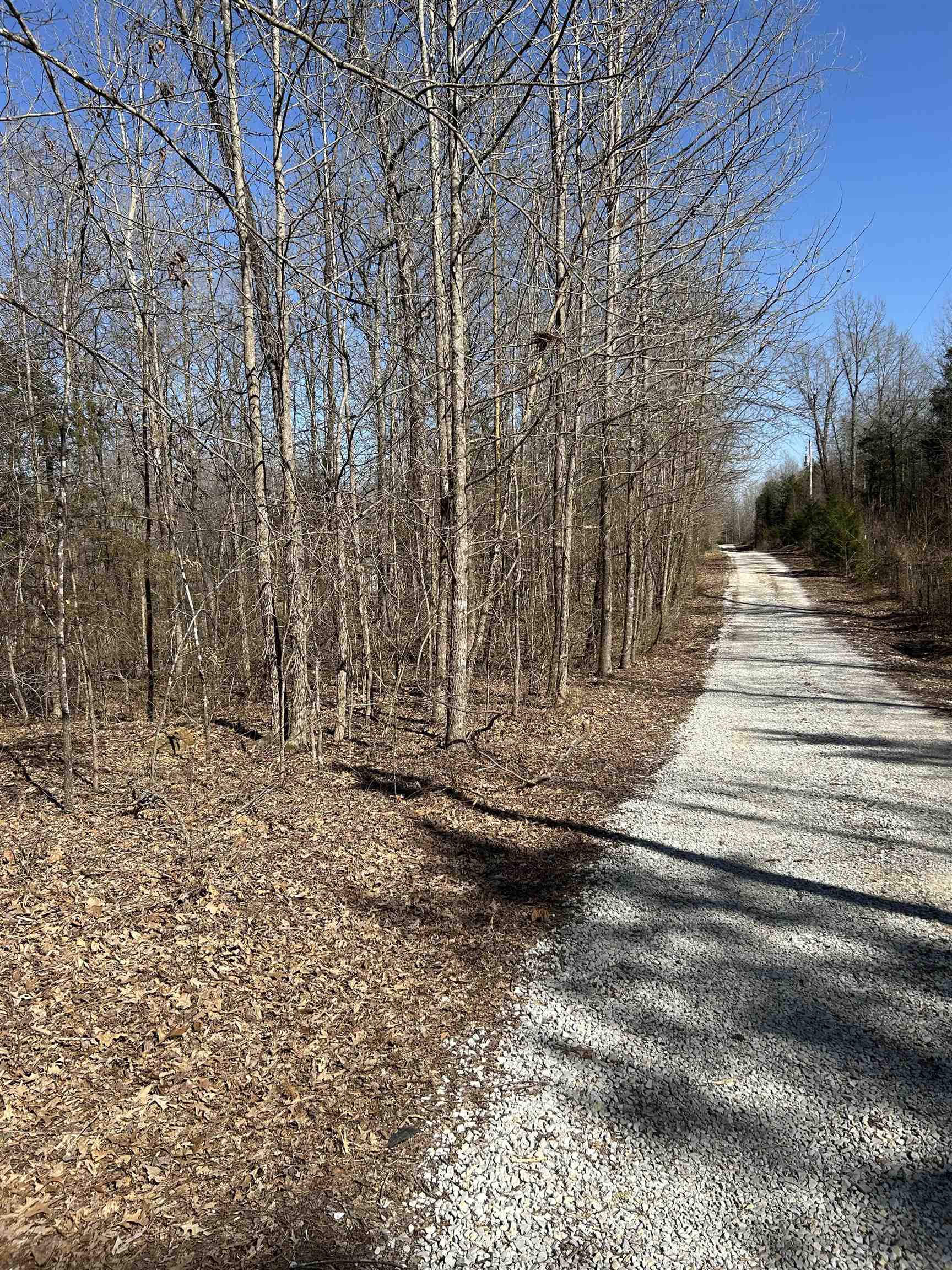 303  S Caney Springs  Melbourne, AR