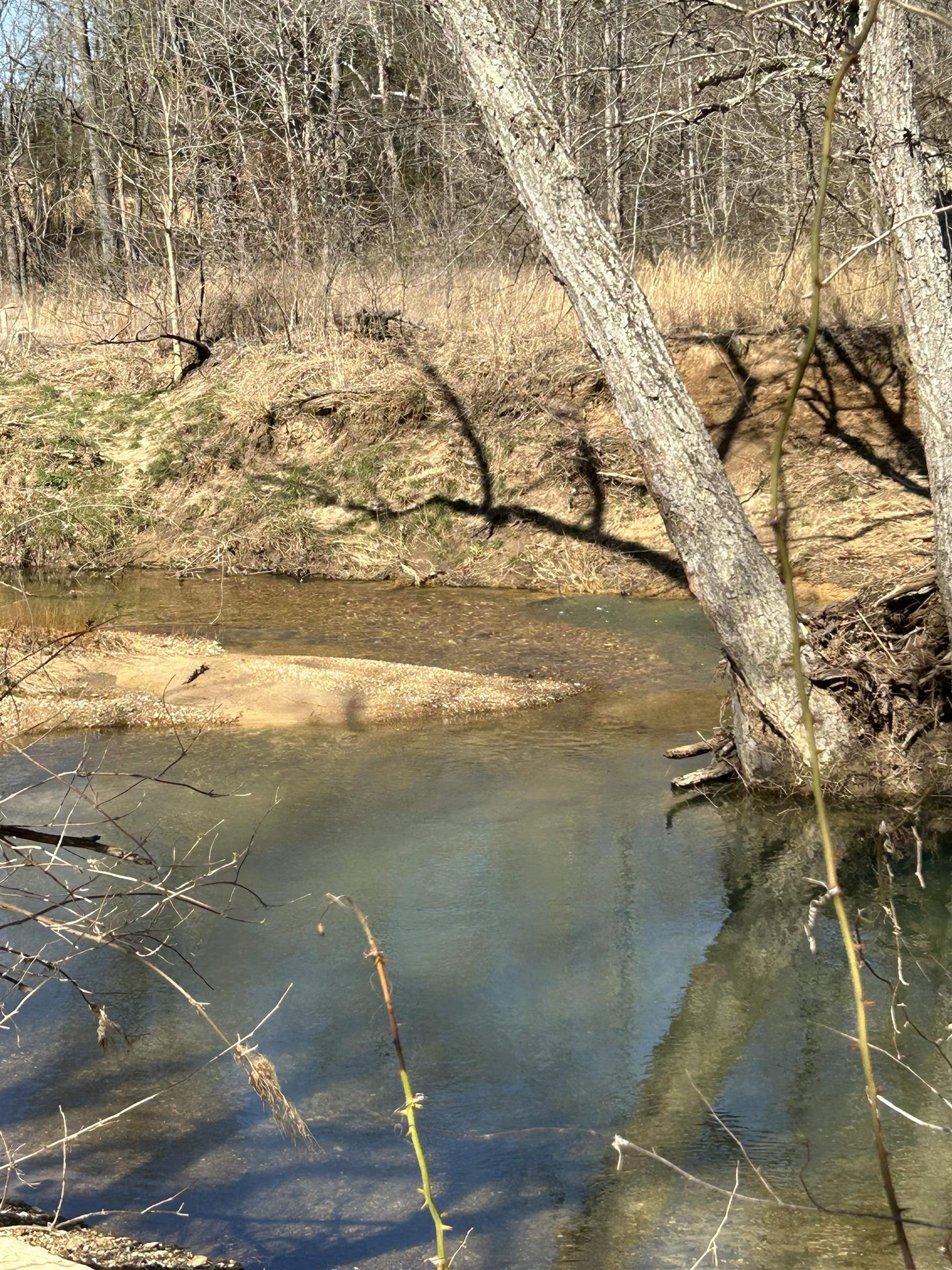 303  S Caney Springs  Melbourne, AR