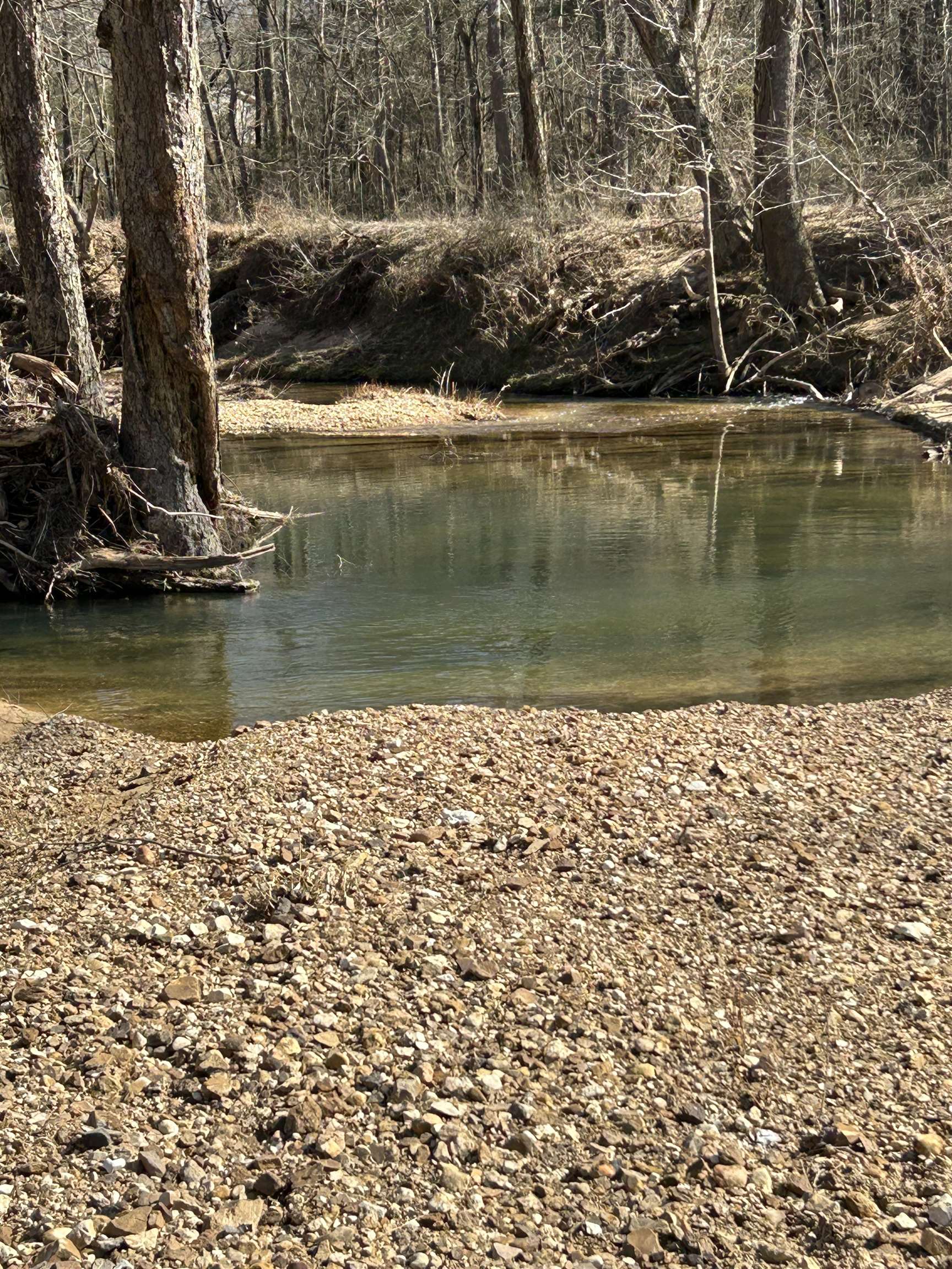 303  S Caney Springs  Melbourne, AR