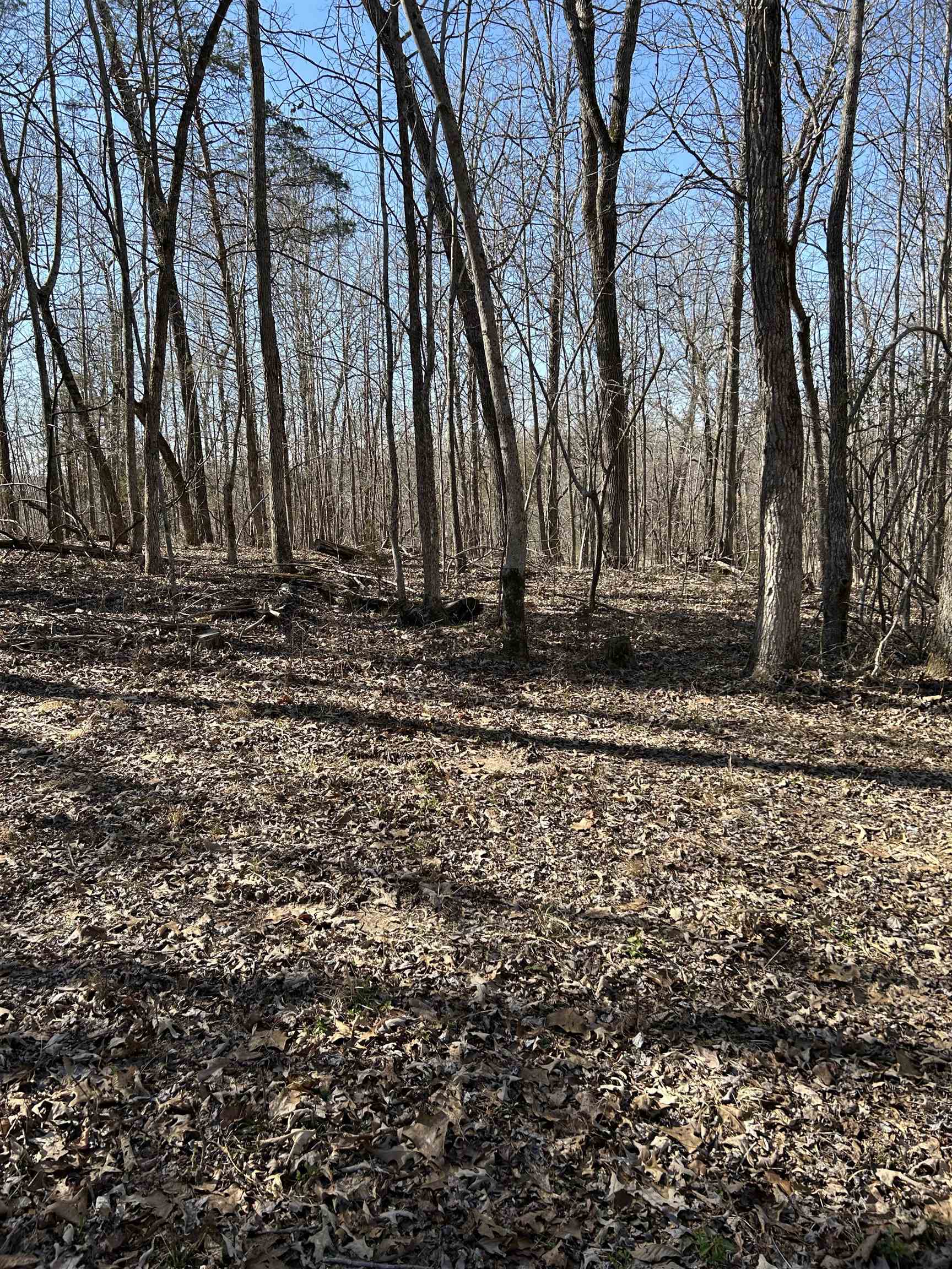 303  S Caney Springs  Melbourne, AR