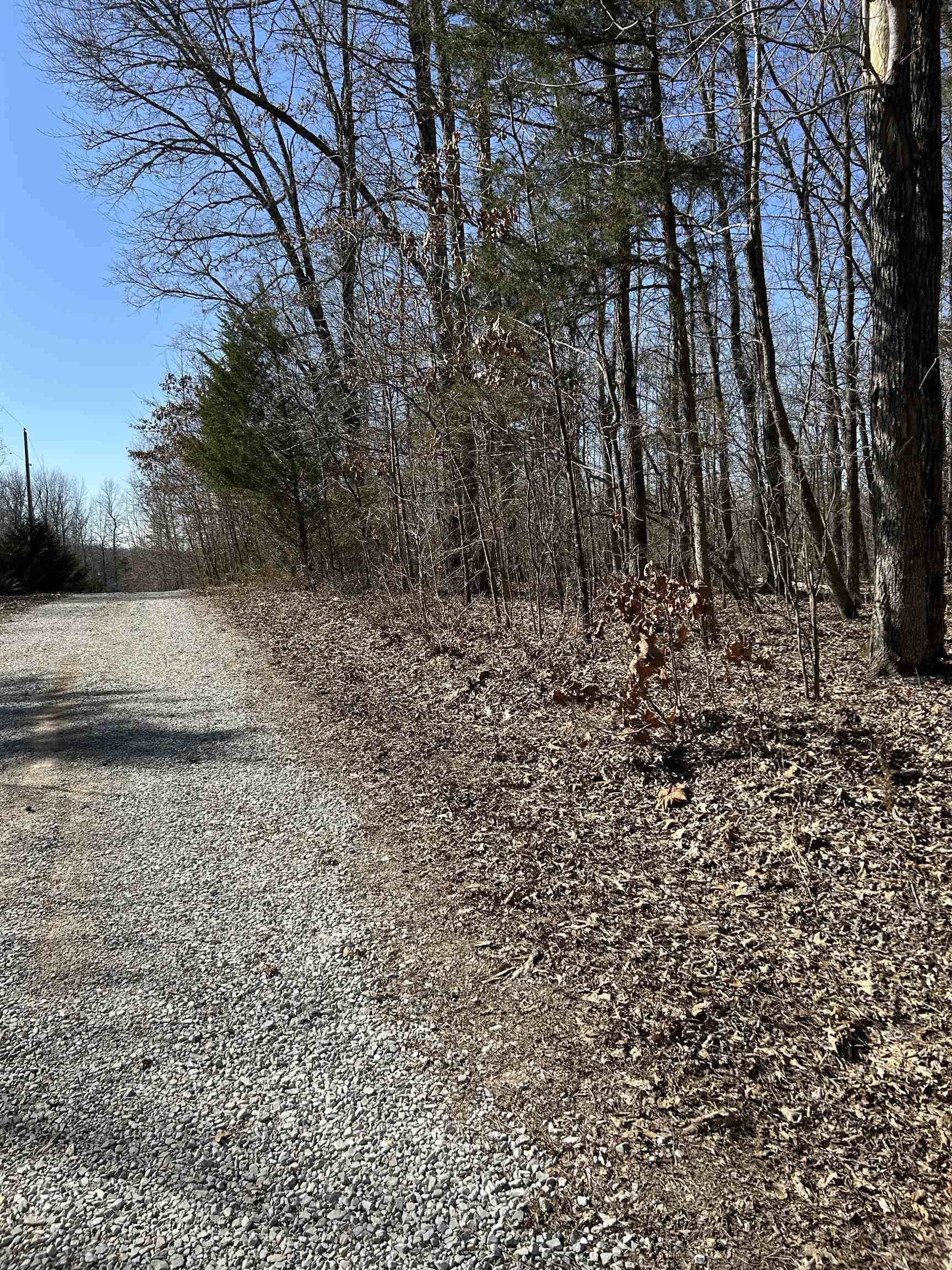 303  S Caney Springs  Melbourne, AR