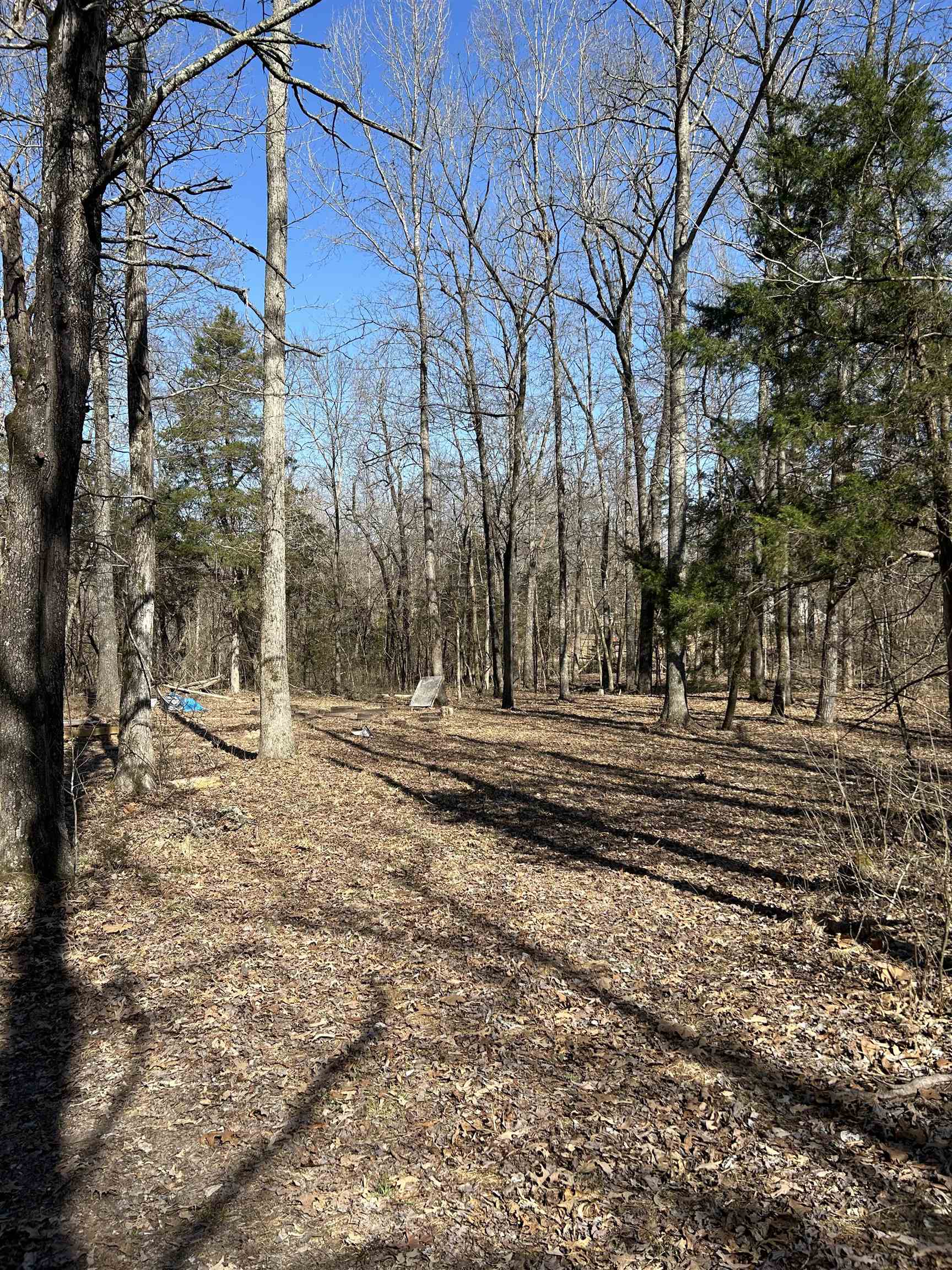 303  S Caney Springs  Melbourne, AR