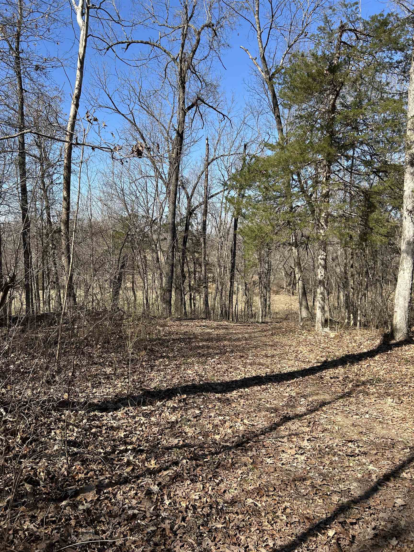 303  S Caney Springs  Melbourne, AR