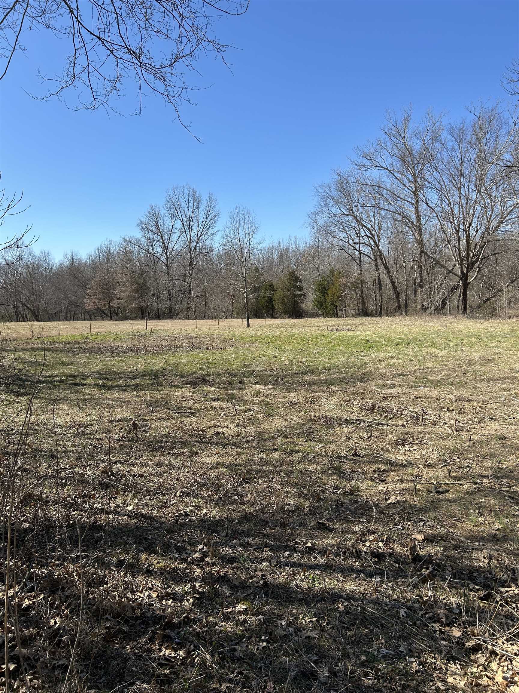 303  S Caney Springs  Melbourne, AR
