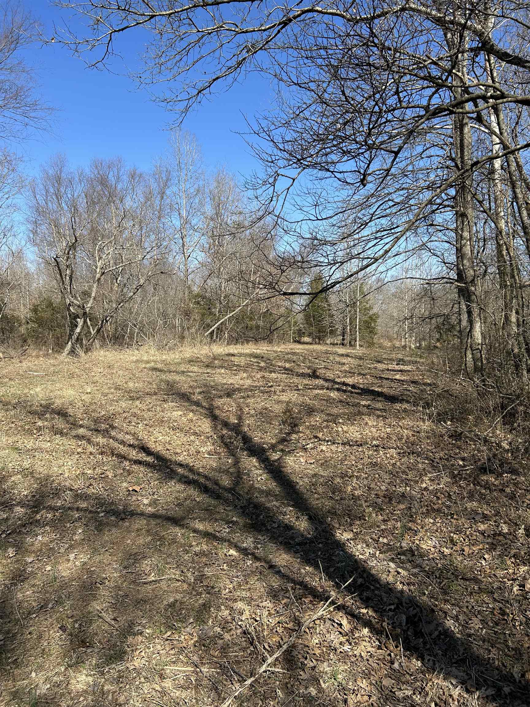 303  S Caney Springs  Melbourne, AR