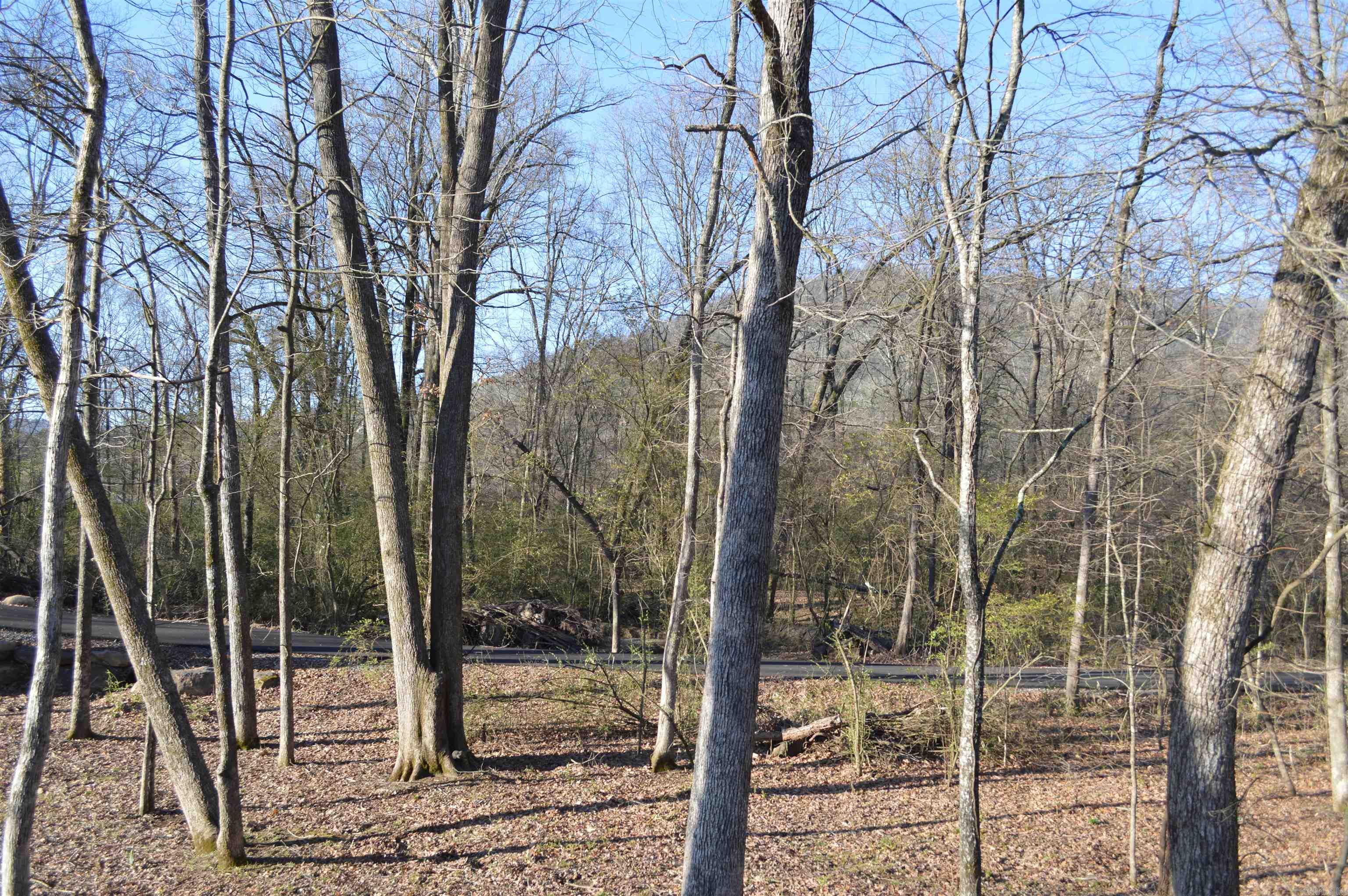 1402 C  Sage Brush  Heber Springs, AR