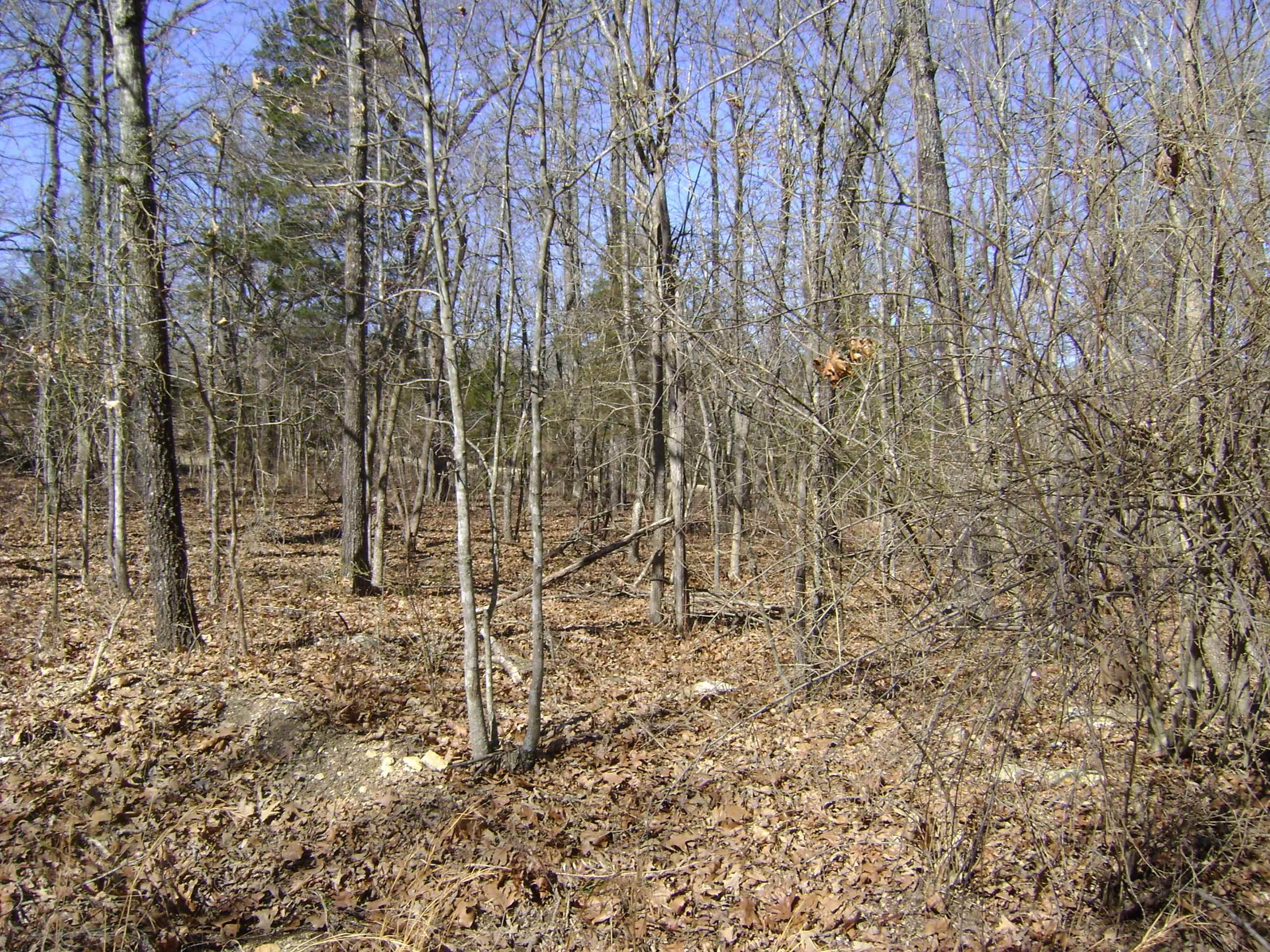 1111  Court Loop  Horseshoe Bend, AR