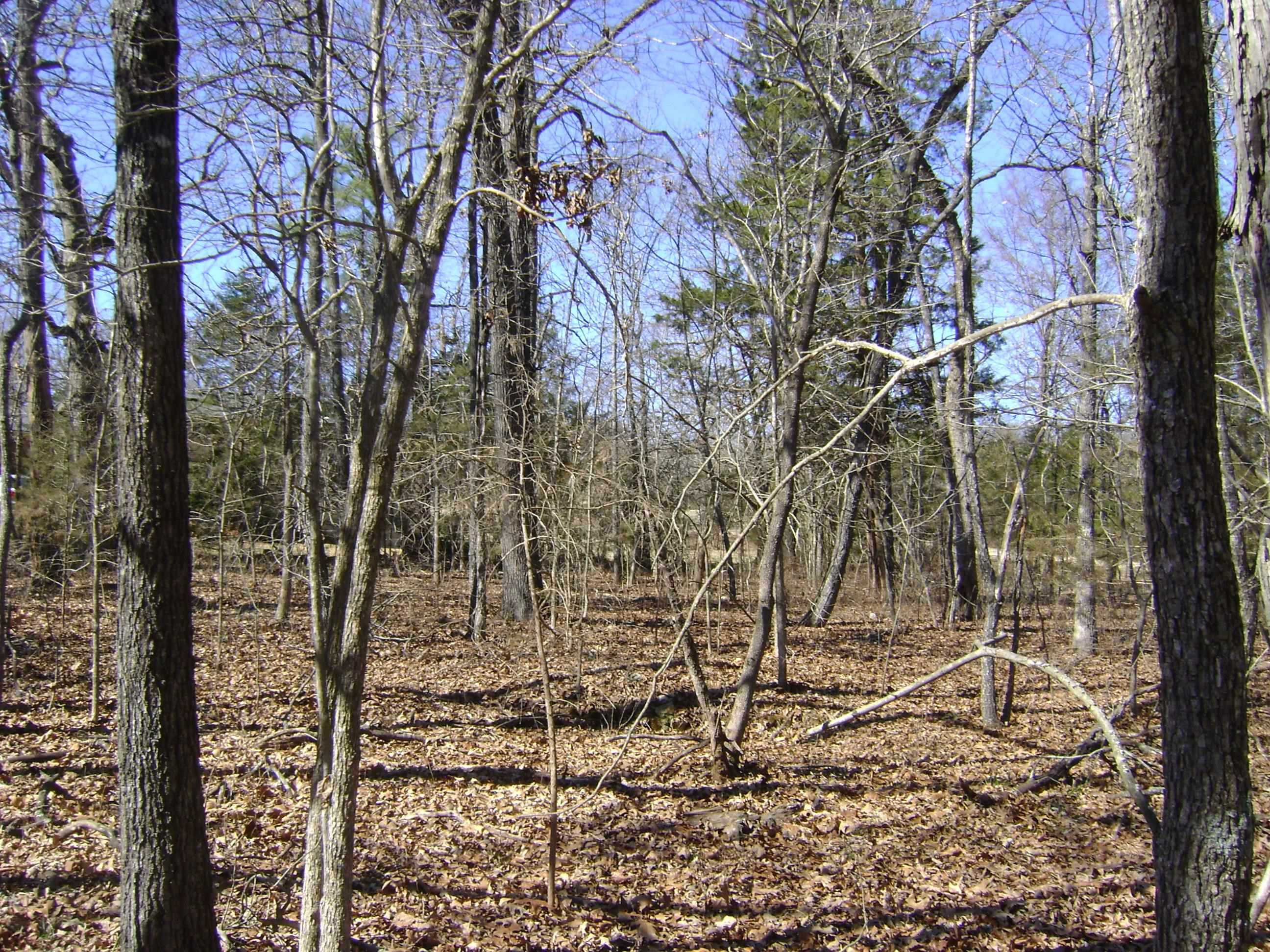 1111  Court Loop  Horseshoe Bend, AR