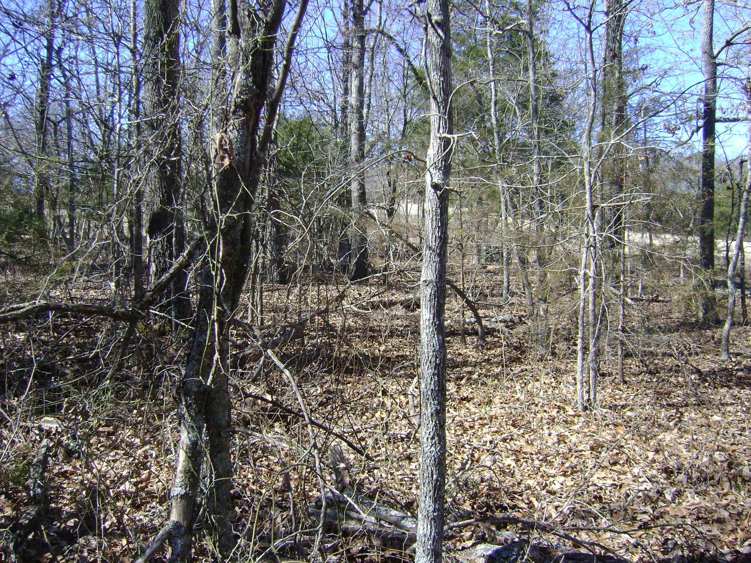 1111  Court Loop  Horseshoe Bend, AR