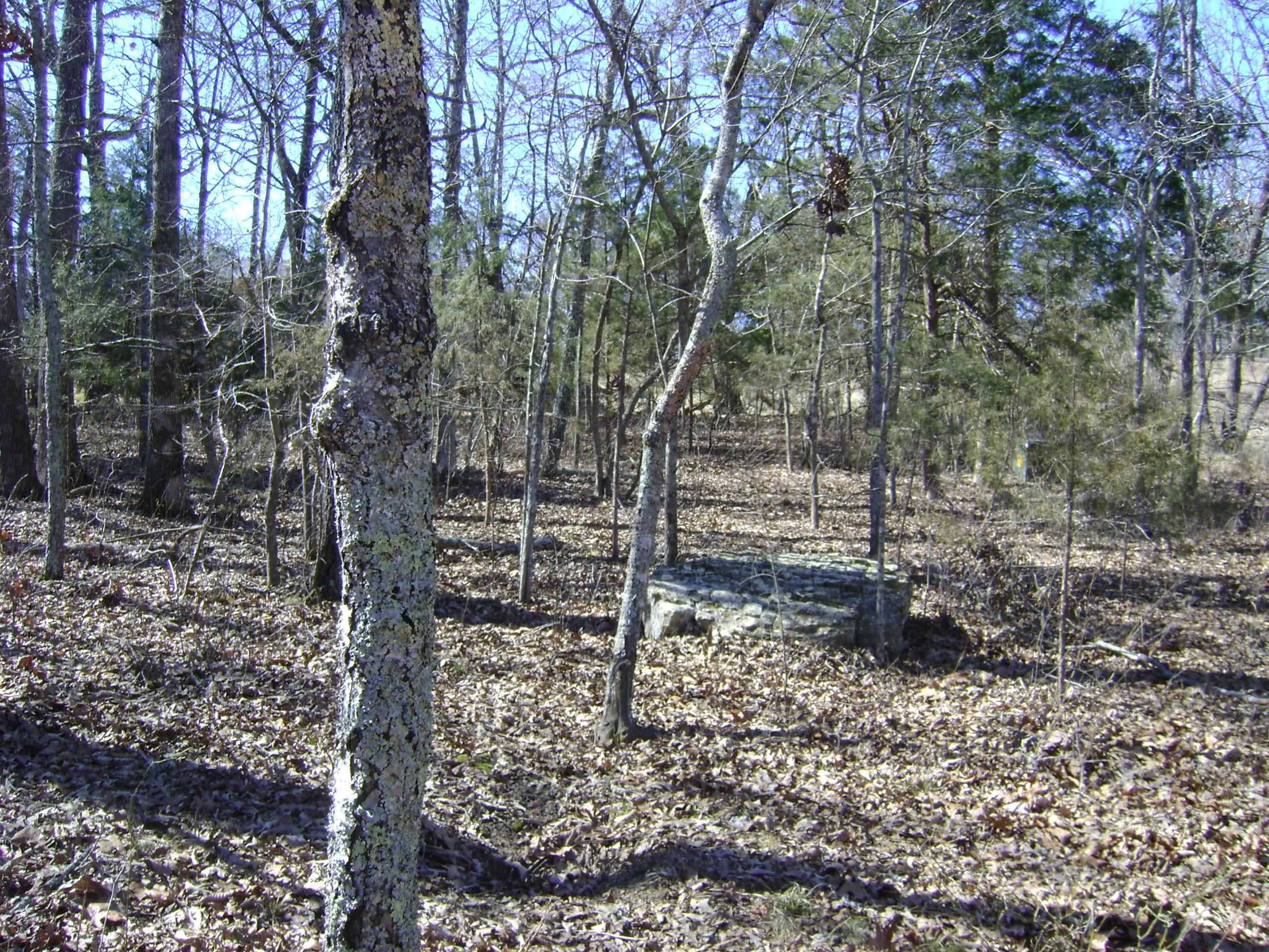 1111  Court Loop  Horseshoe Bend, AR