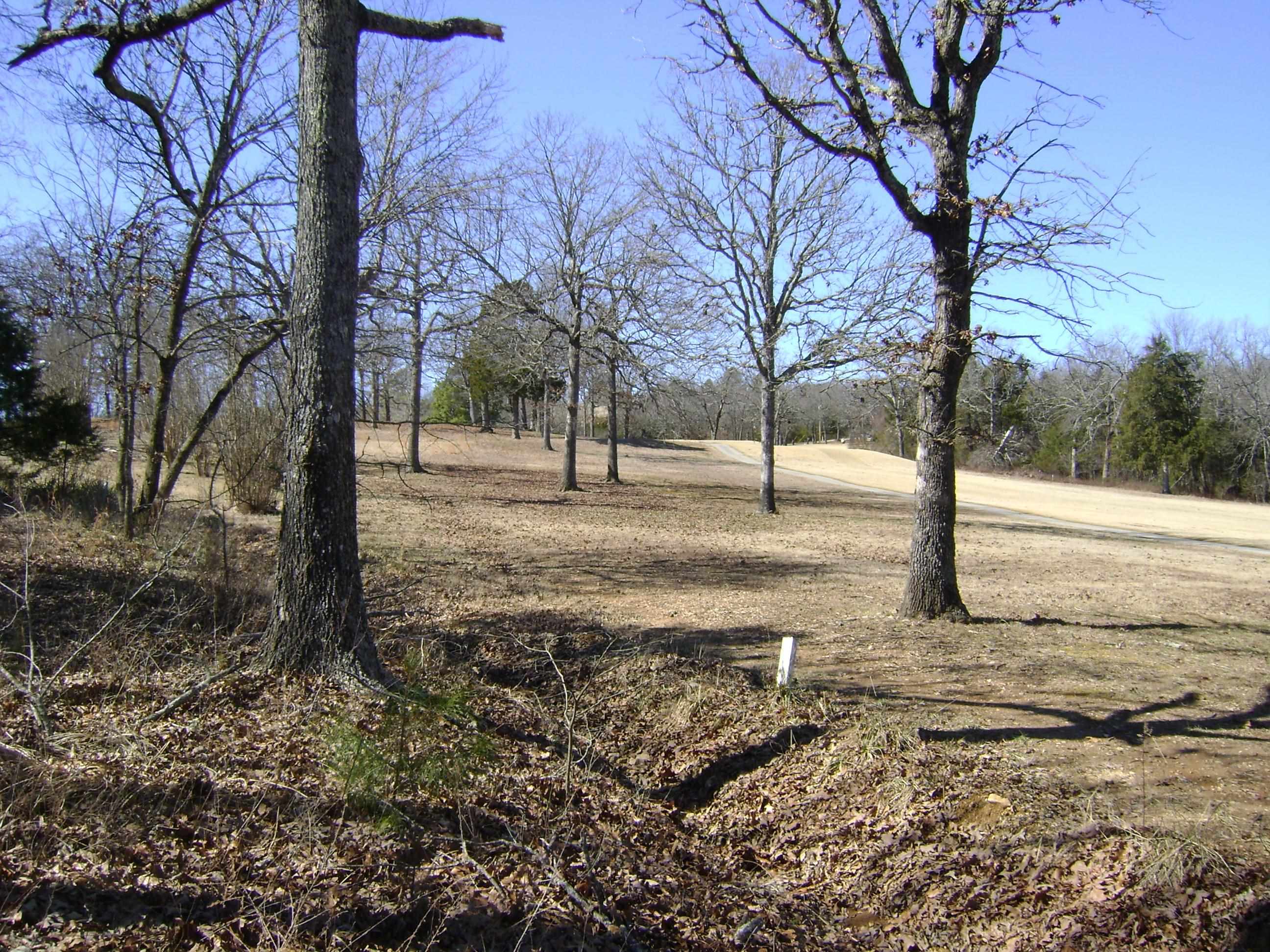 1111  Court Loop  Horseshoe Bend, AR