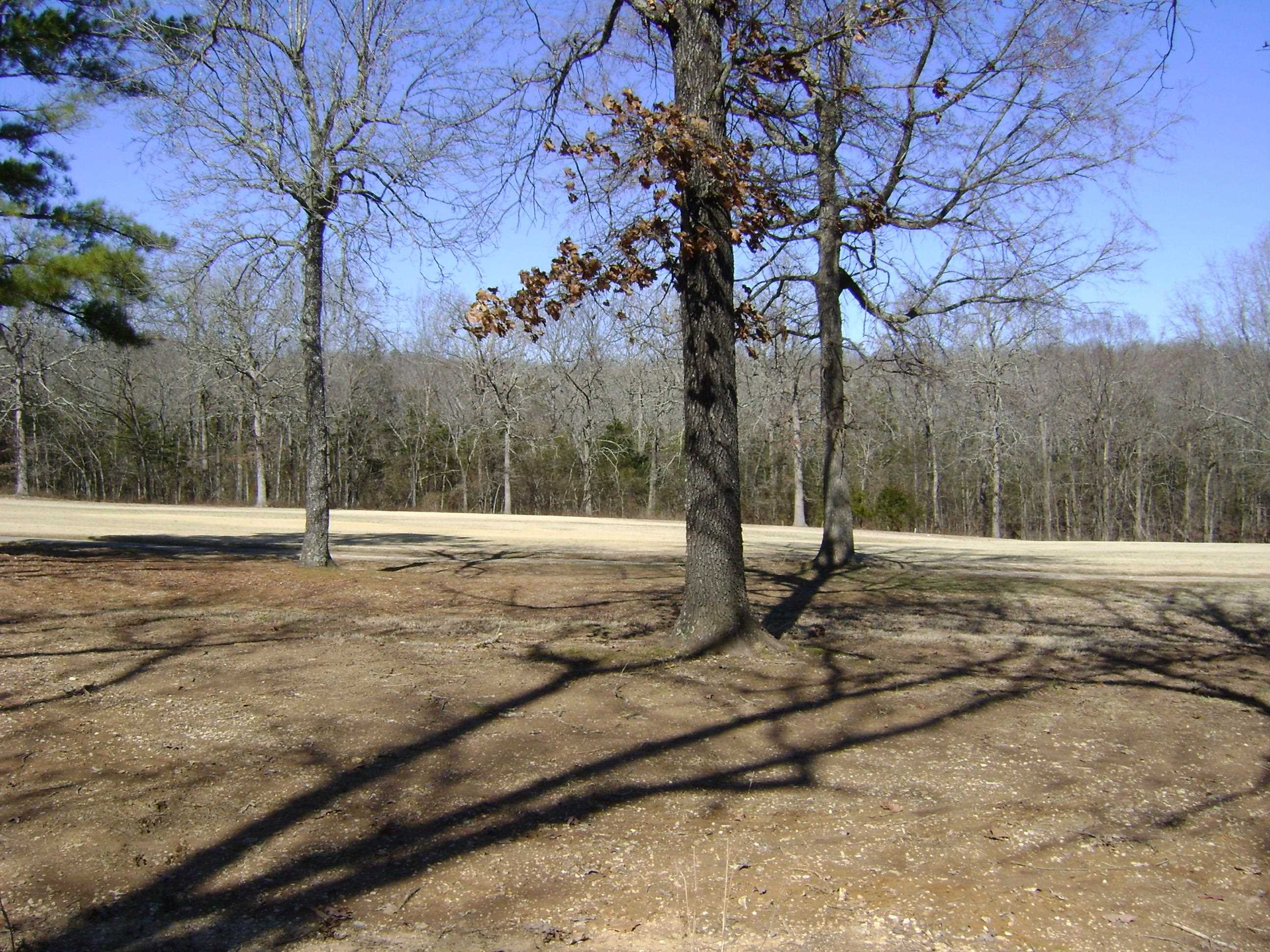 1111  Court Loop  Horseshoe Bend, AR