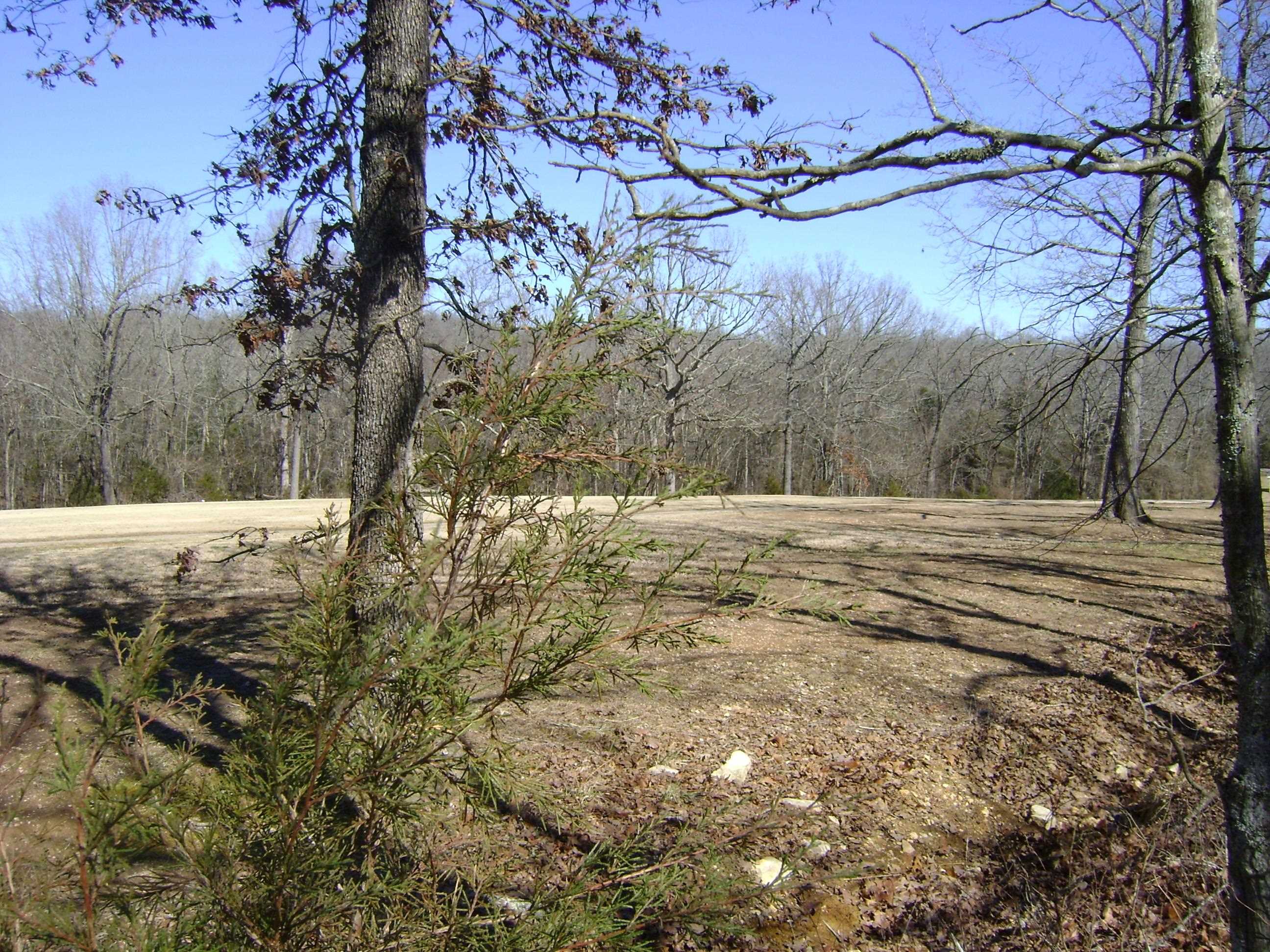 1111  Court Loop  Horseshoe Bend, AR